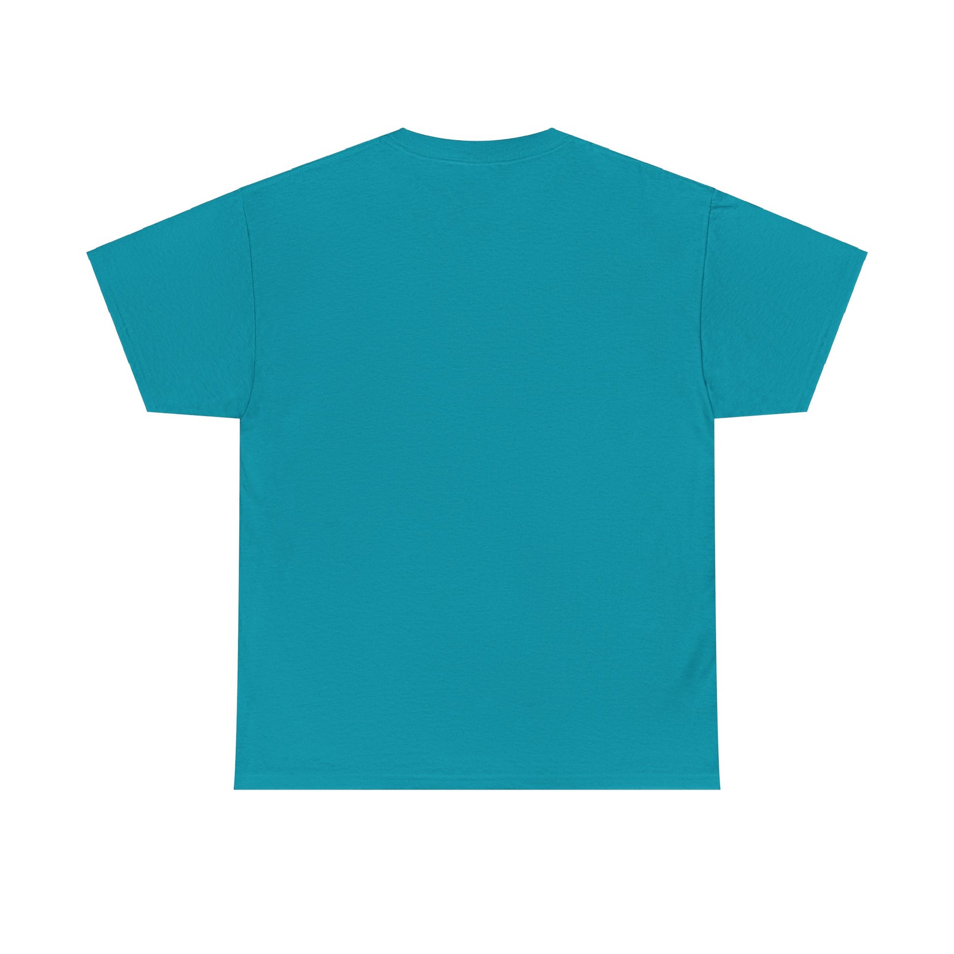 Airplane Mode Aviation Graphic Tee. gift for pilots. flight attendant. aviation lovers.