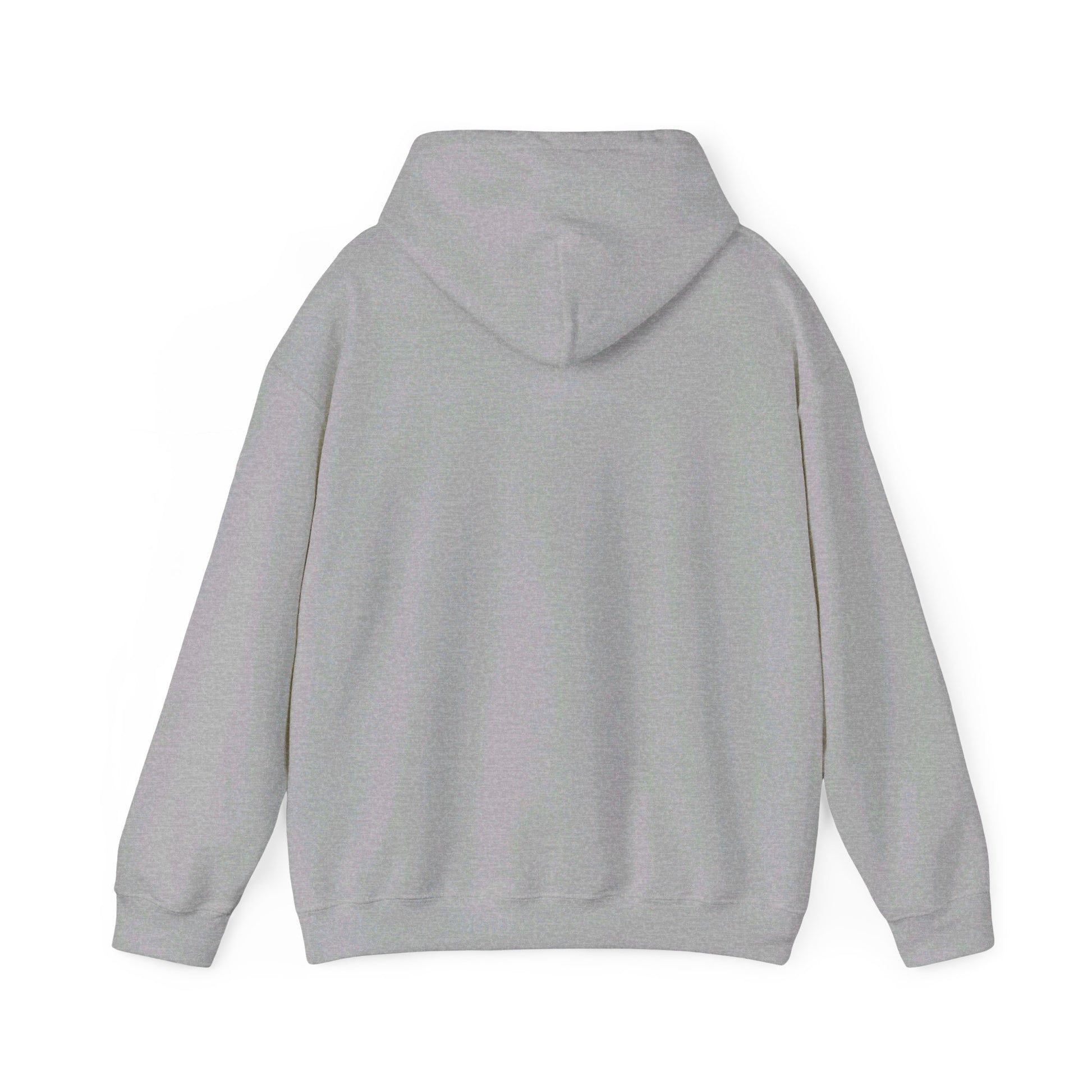 ASTS Hoodie. aviation. space. stocks.