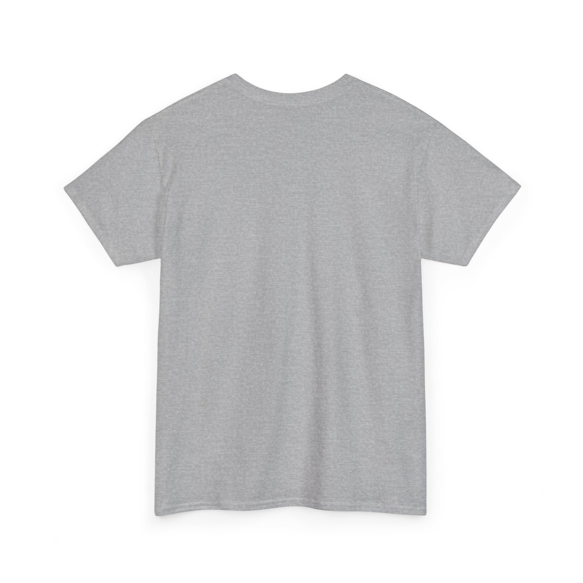 Airplane Mode Aviation Graphic Tee. gift for pilots. flight attendant. aviation lovers.
