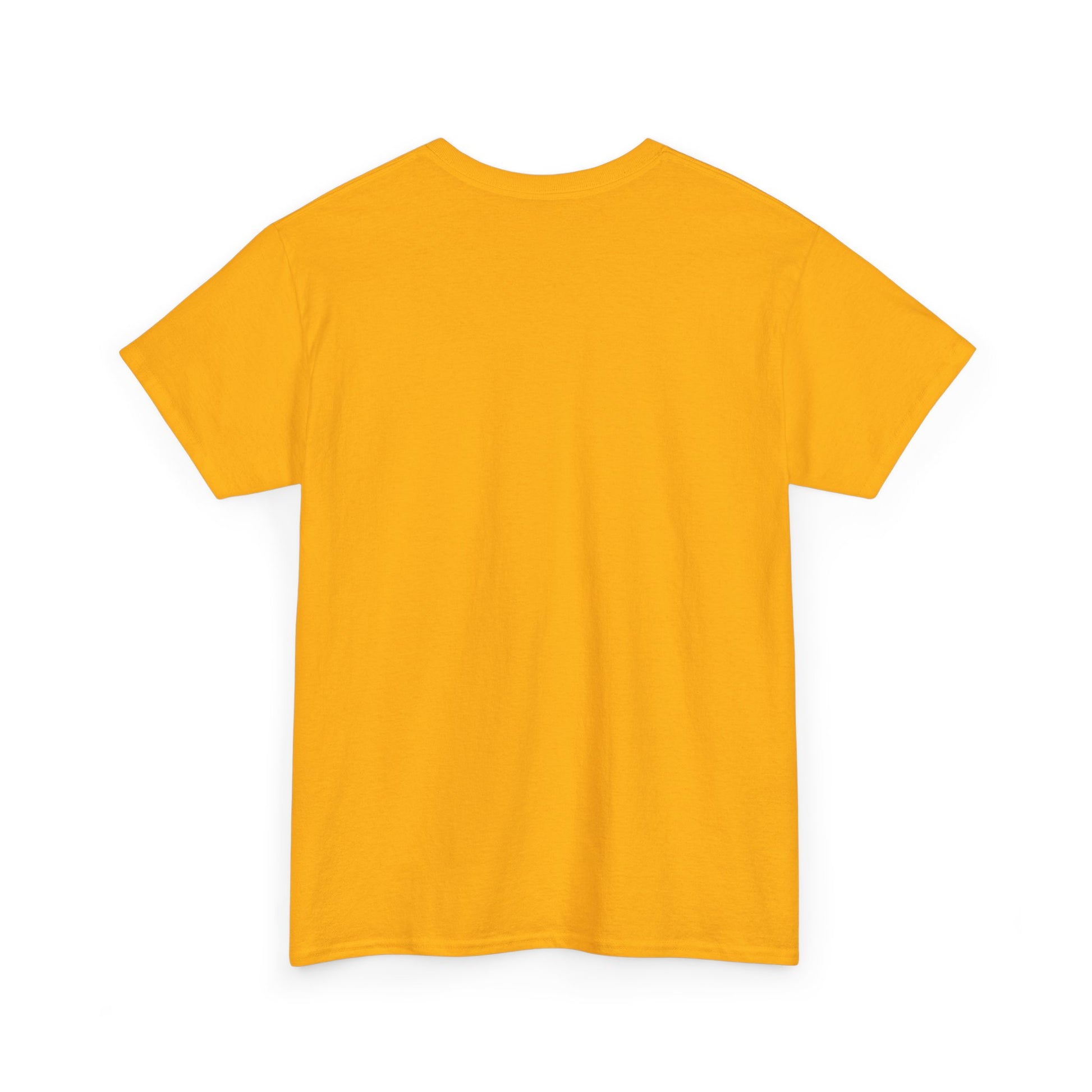 Airplane Mode Aviation Graphic Tee. gift for pilots. flight attendant. aviation lovers.