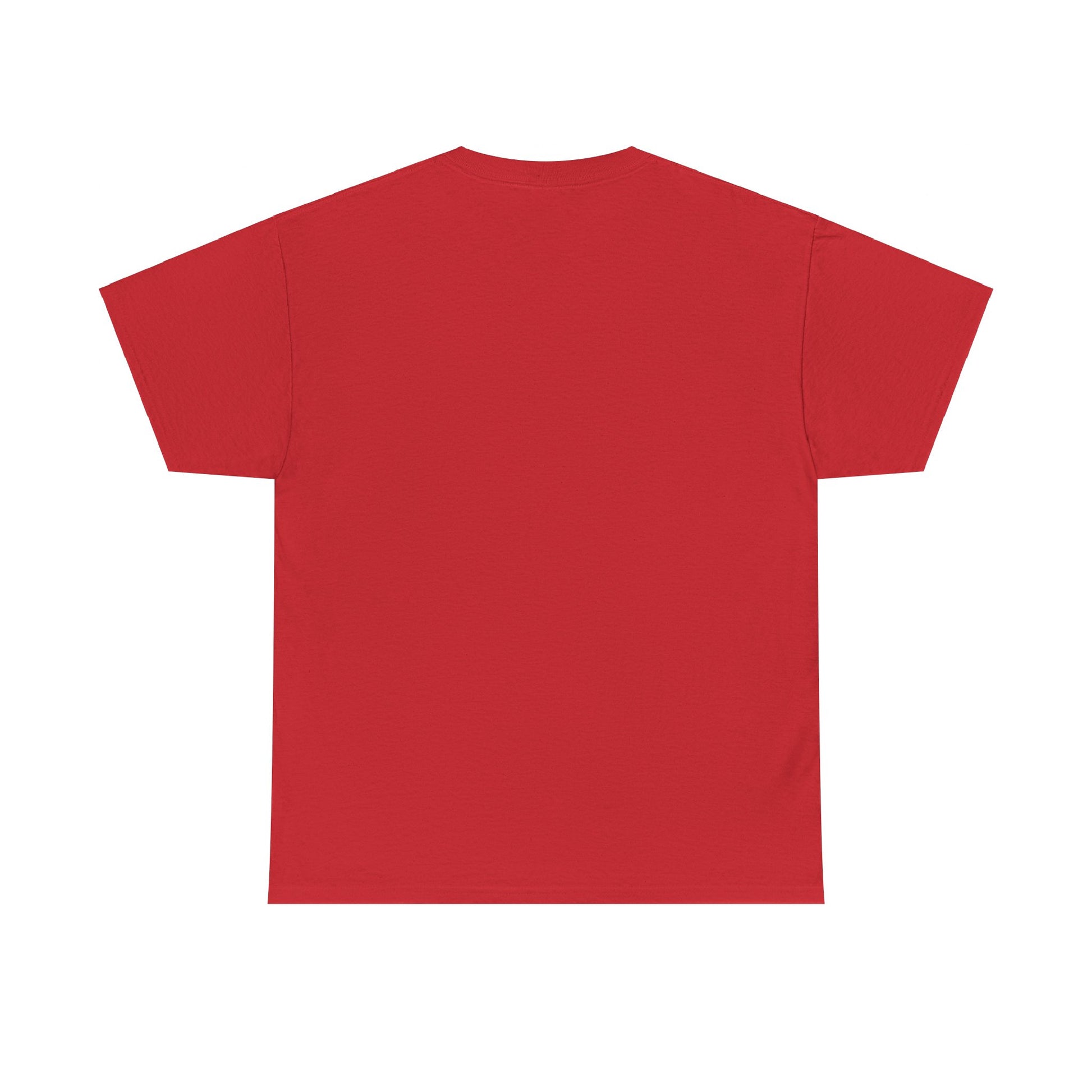 Airplane Mode Aviation Graphic Tee. gift for pilots. flight attendant. aviation lovers.