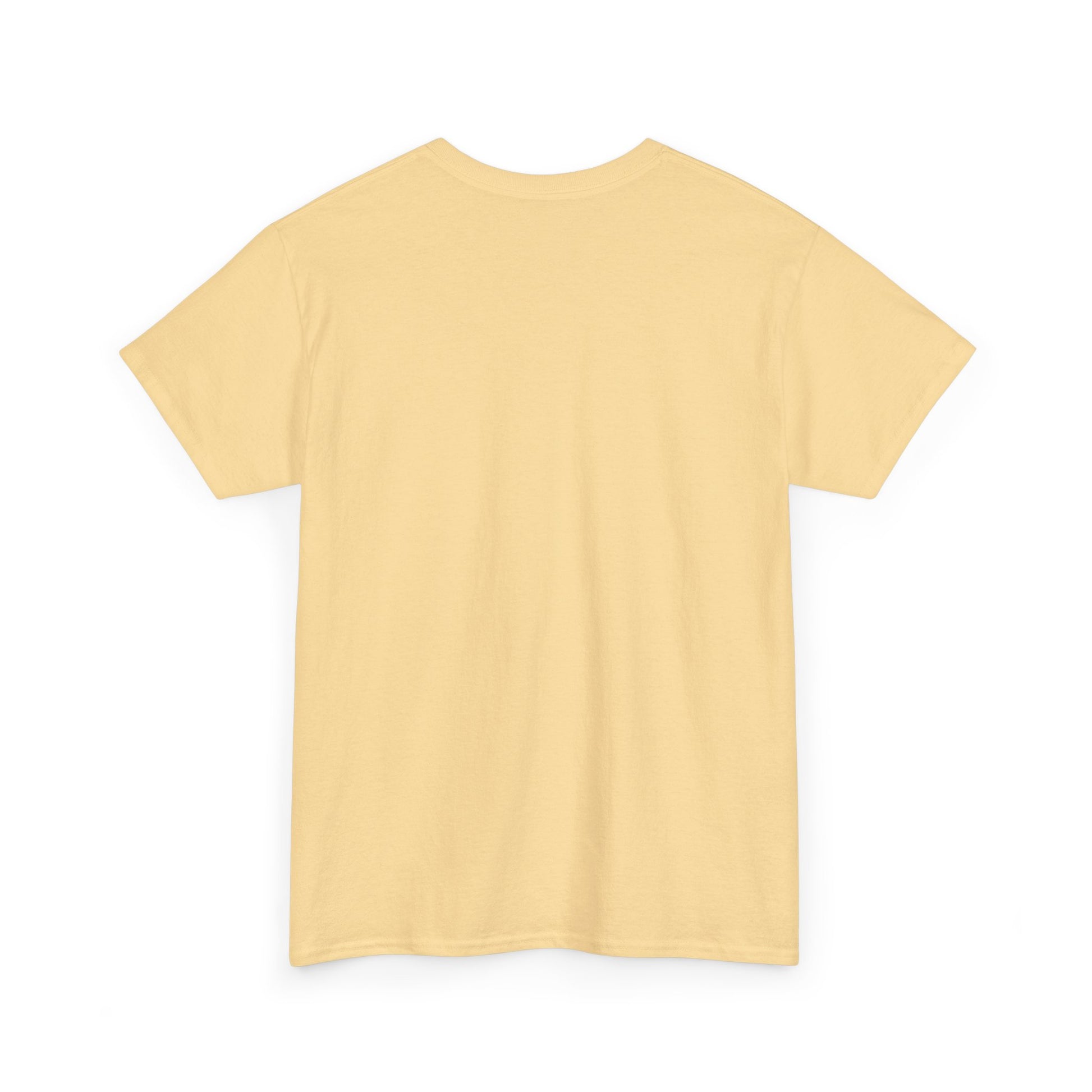 Airplane Mode Aviation Graphic Tee. gift for pilots. flight attendant. aviation lovers.