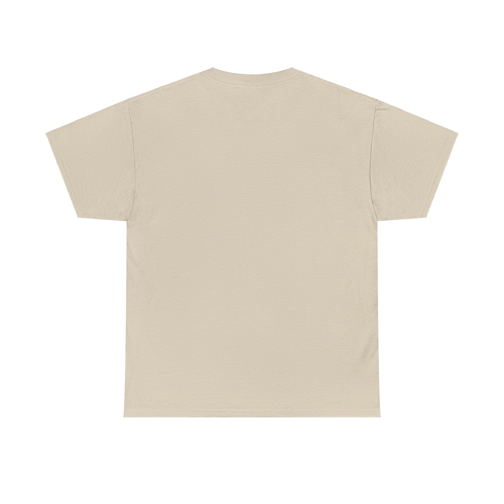 Airplane Mode Aviation Graphic Tee. gift for pilots. flight attendant. aviation lovers.