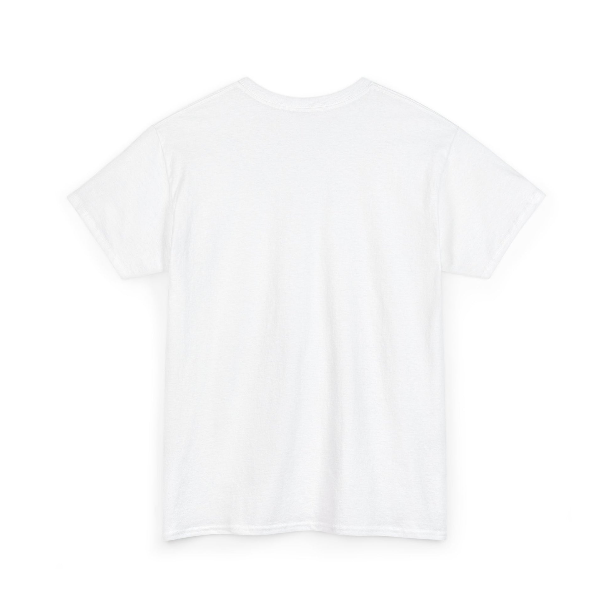 Airplane Mode Aviation Graphic Tee. gift for pilots. flight attendant. aviation lovers.
