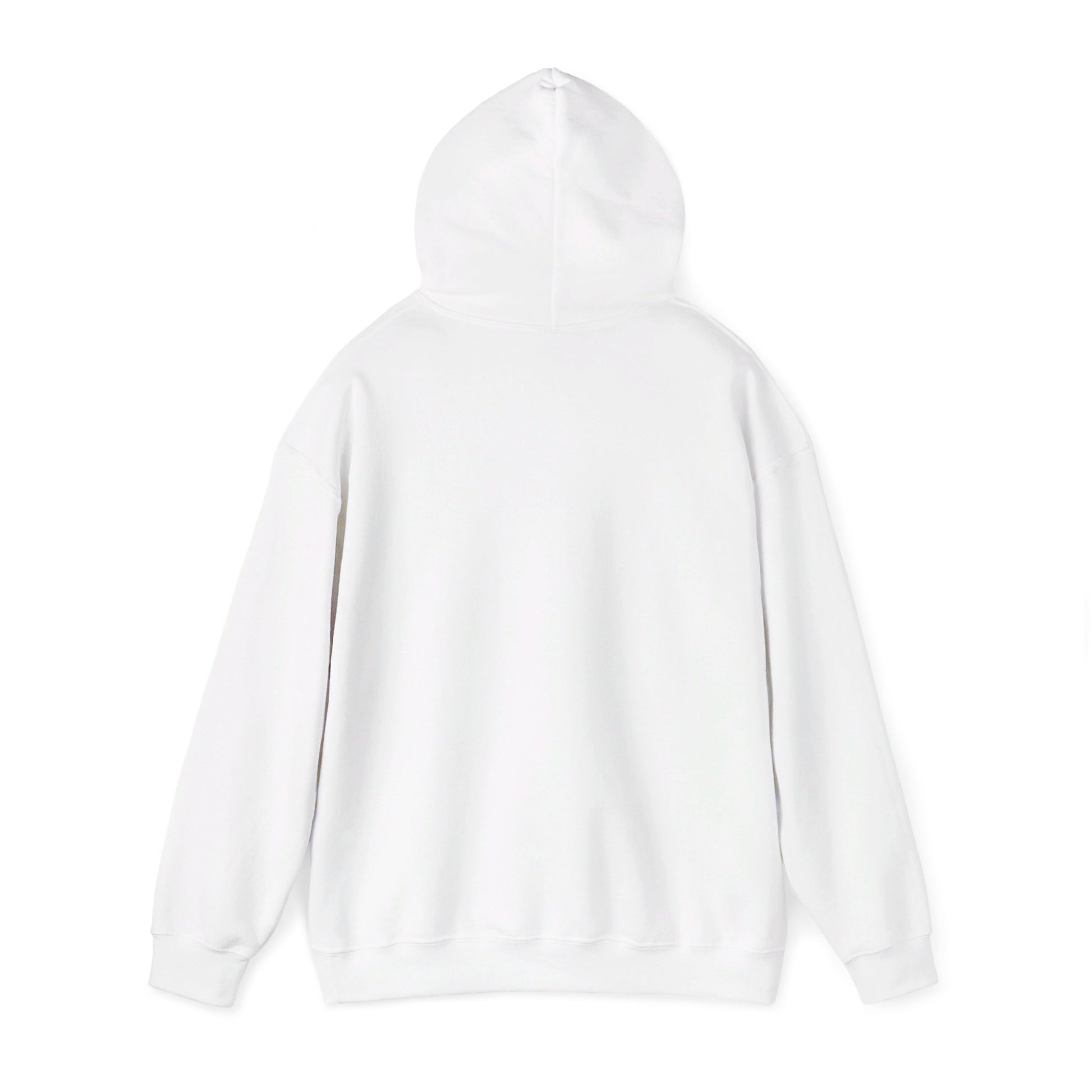 ASTS Hoodie. aviation. space. stocks.