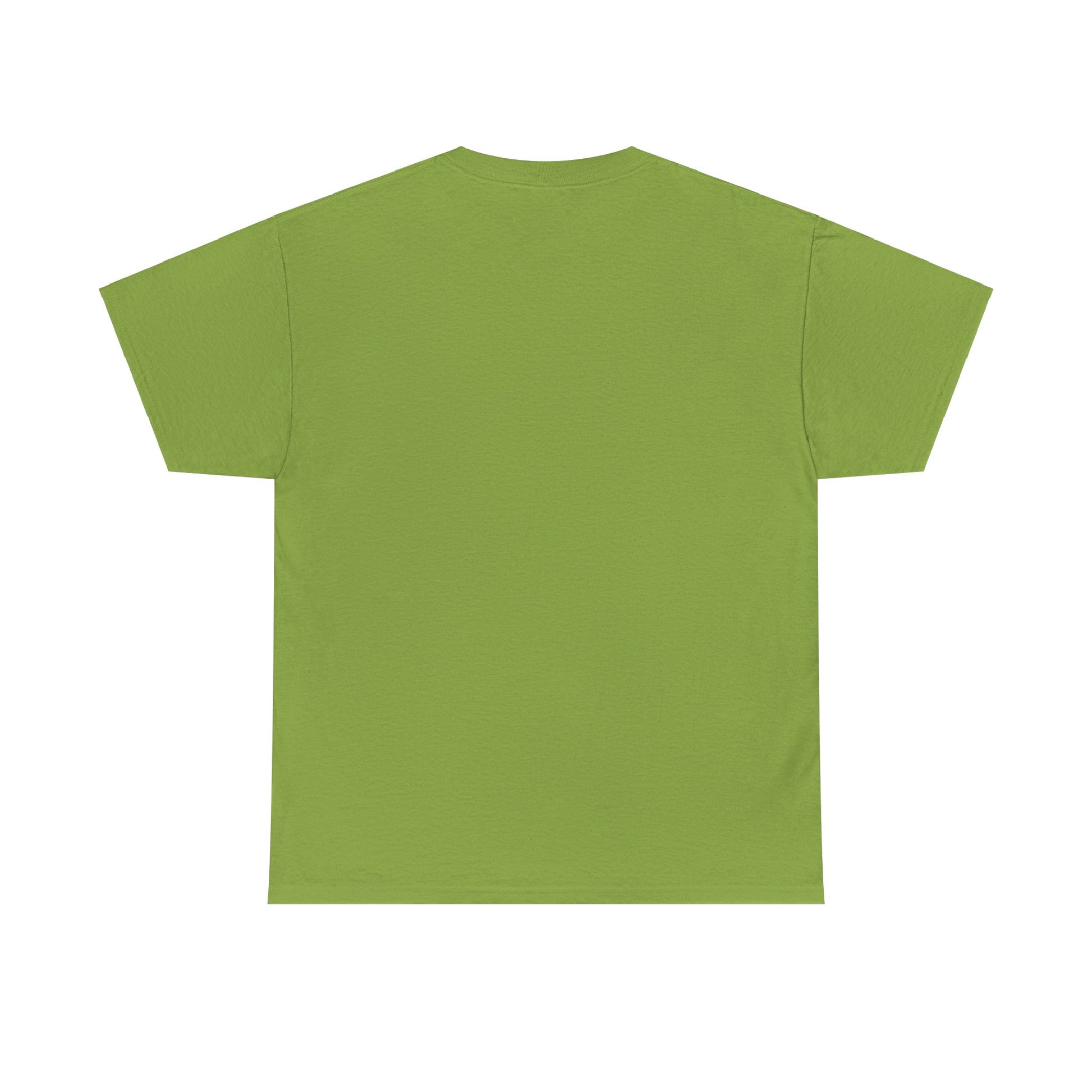 Airplane Mode Aviation Graphic Tee. gift for pilots. flight attendant. aviation lovers.