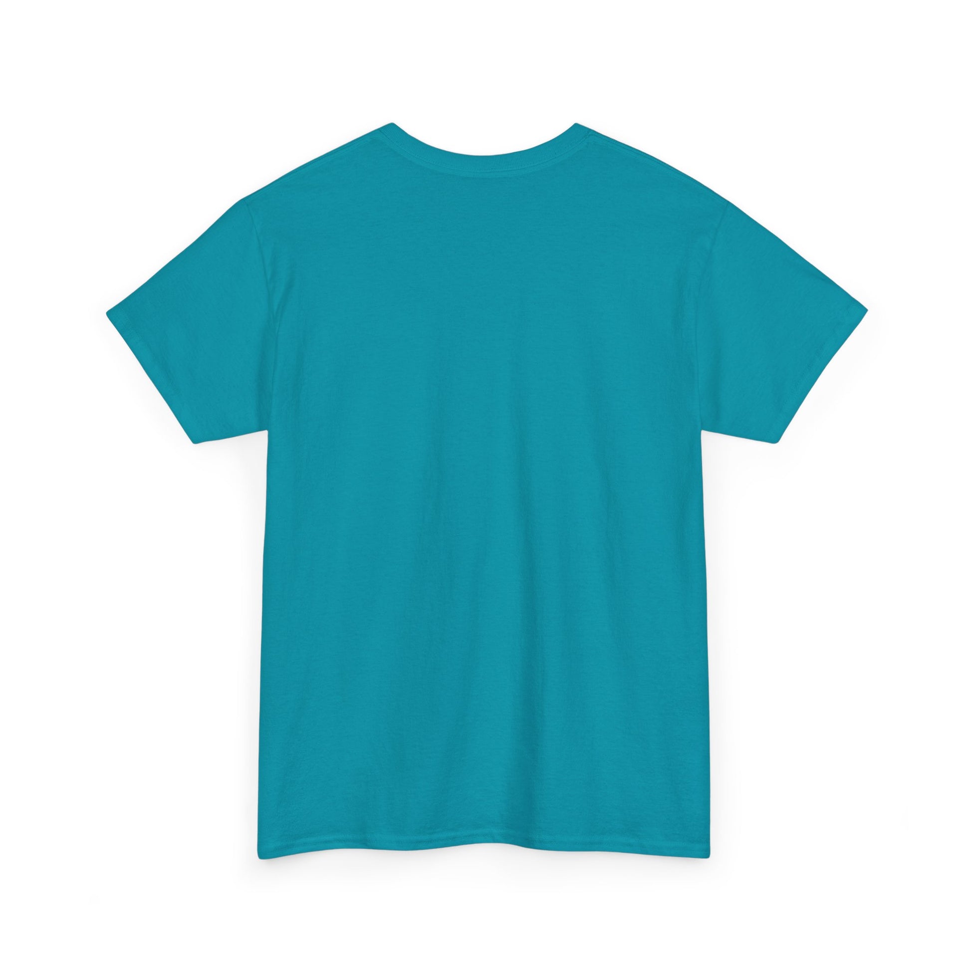 Airplane Mode Aviation Graphic Tee. gift for pilots. flight attendant. aviation lovers.