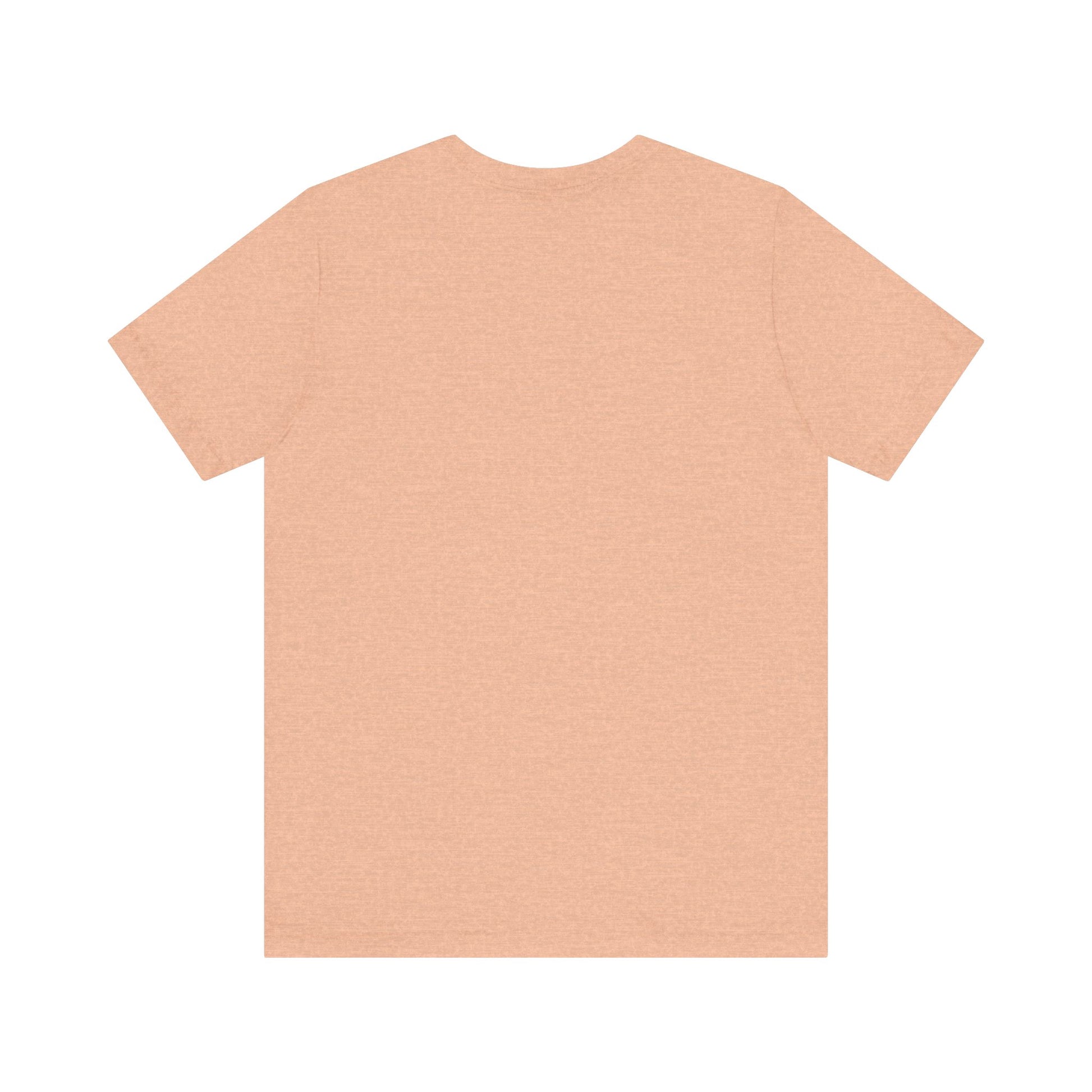 Airplane Mode Aviation Tee. gift for pilots. aviation lovers