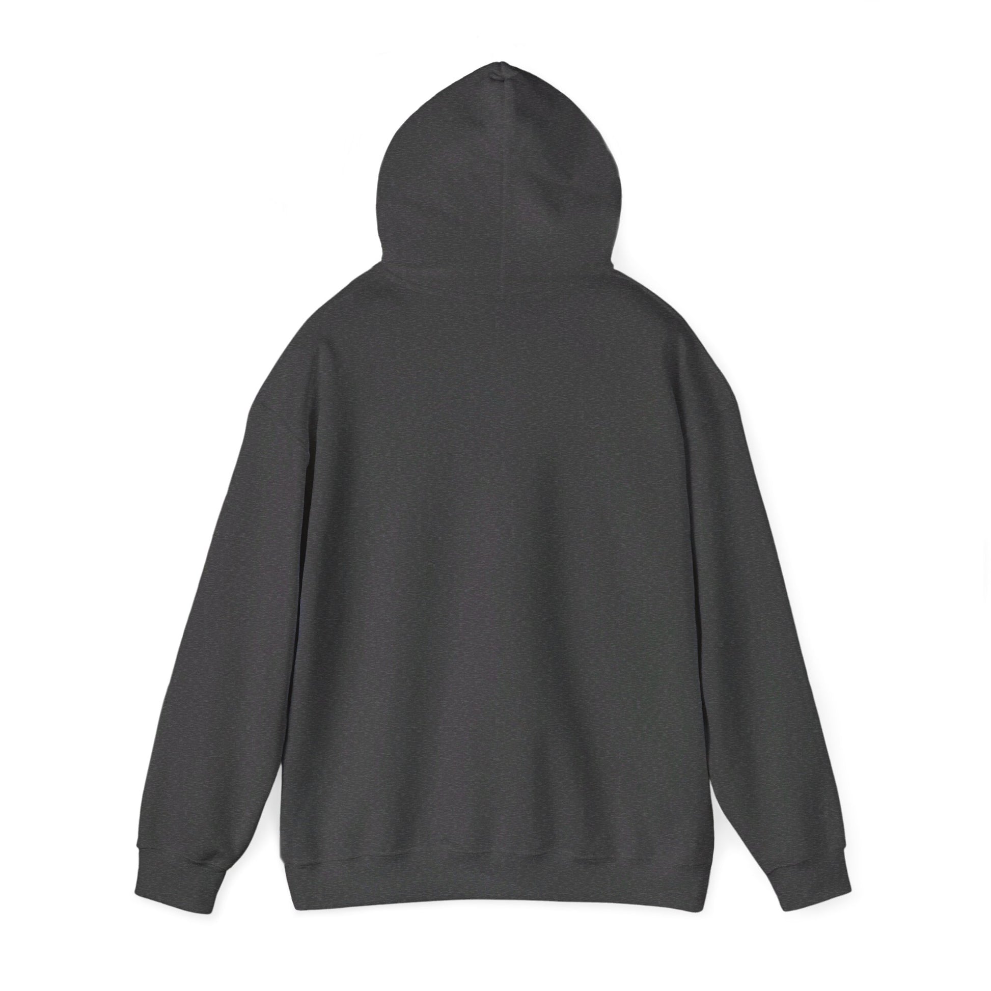 ASTS Hoodie. aviation. space. stocks.