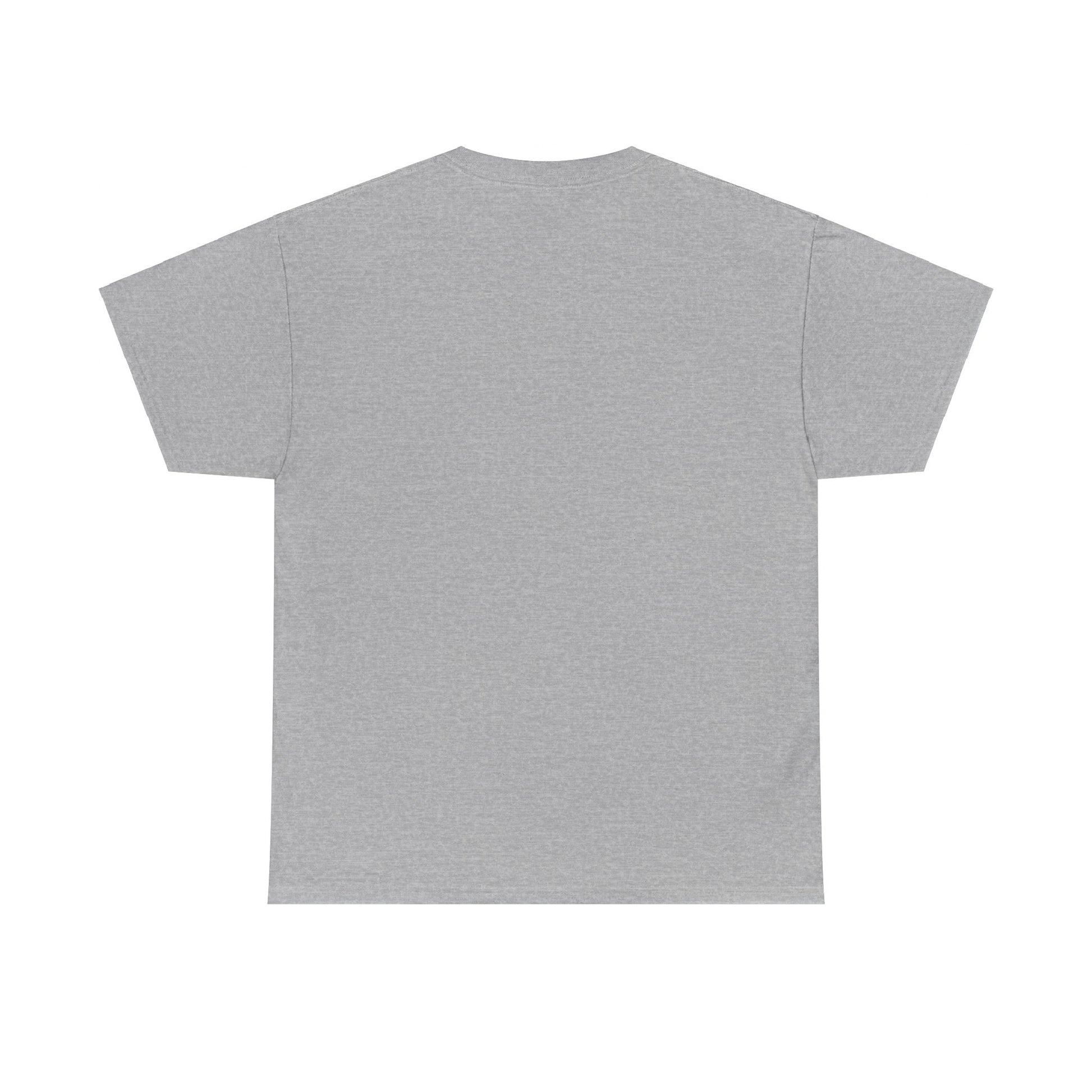 Airplane Mode Aviation Graphic Tee. gift for pilots. flight attendant. aviation lovers.