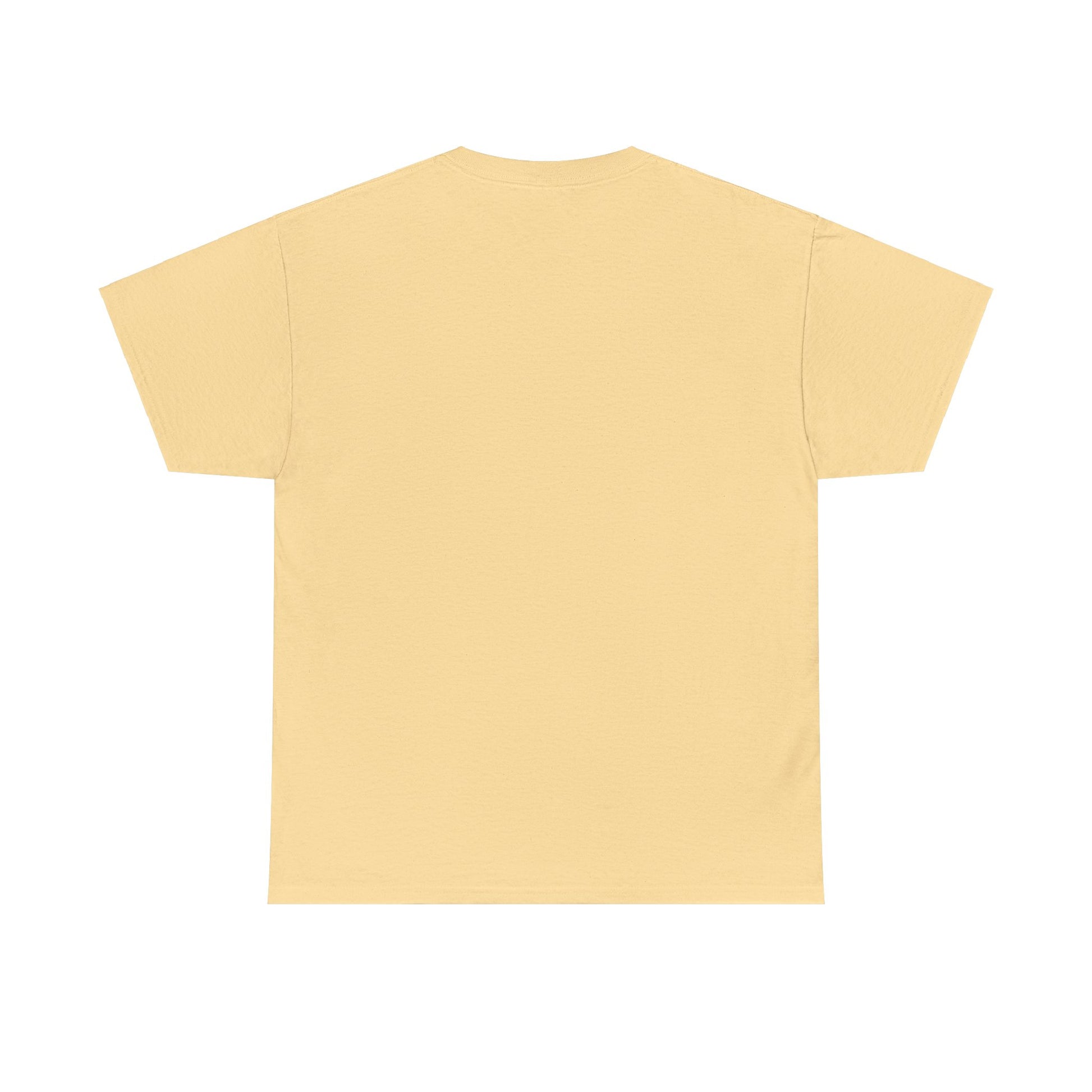Airplane Mode Aviation Graphic Tee. gift for pilots. flight attendant. aviation lovers.