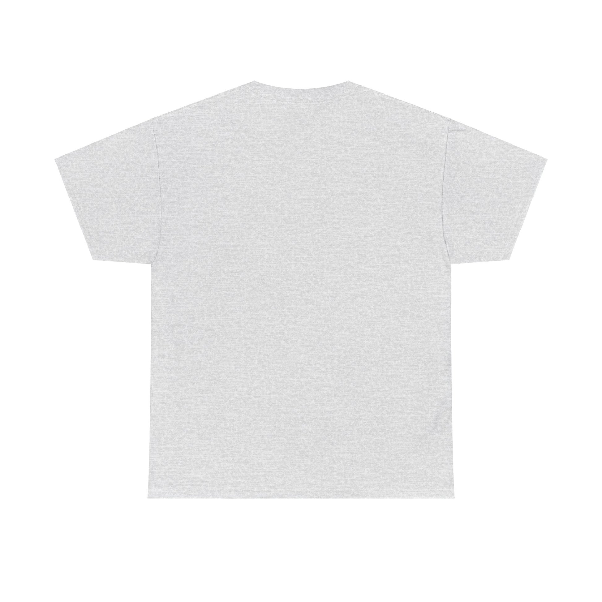 Airplane Mode Aviation Graphic Tee. gift for pilots. flight attendant. aviation lovers.