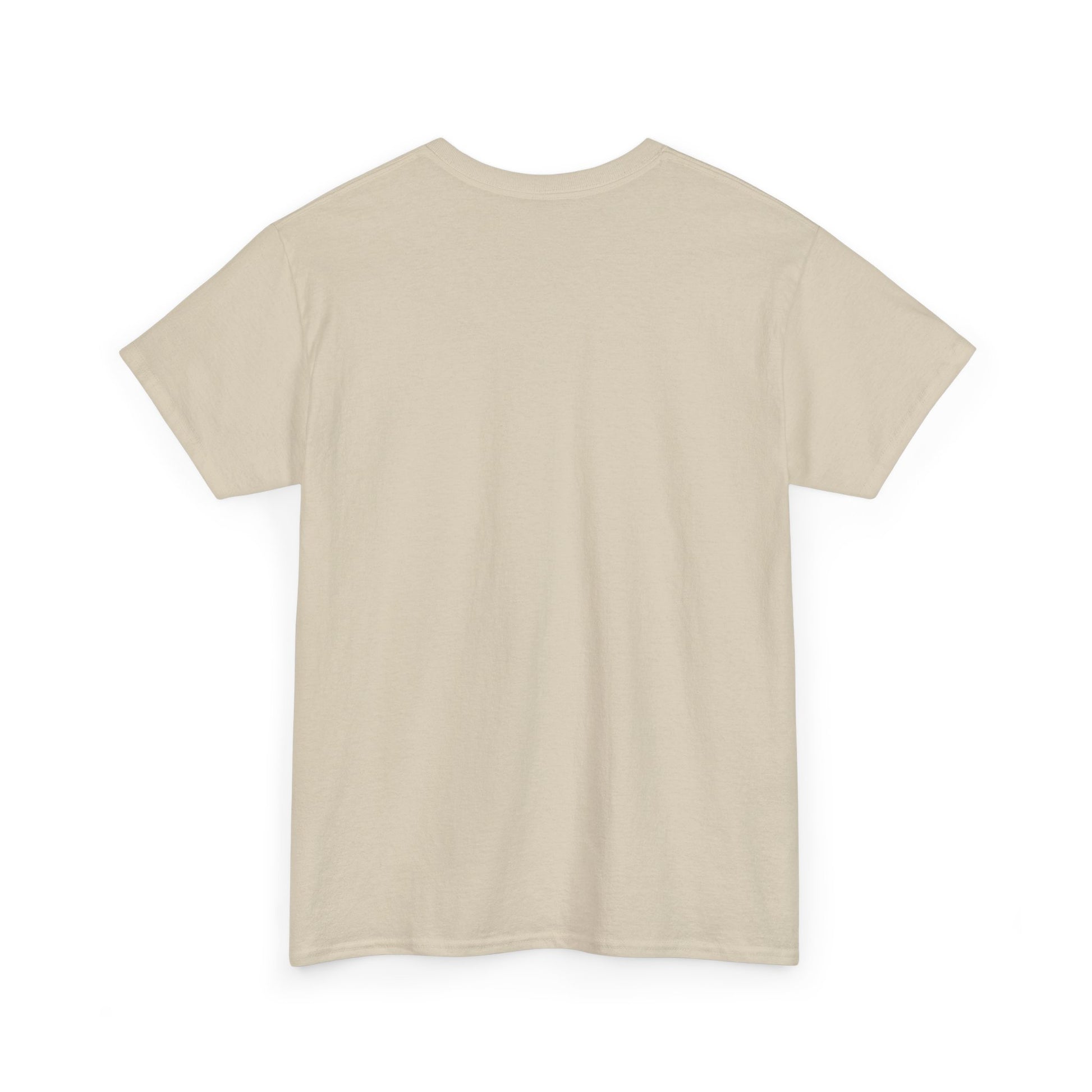 Airplane Mode Aviation Graphic Tee. gift for pilots. flight attendant. aviation lovers.