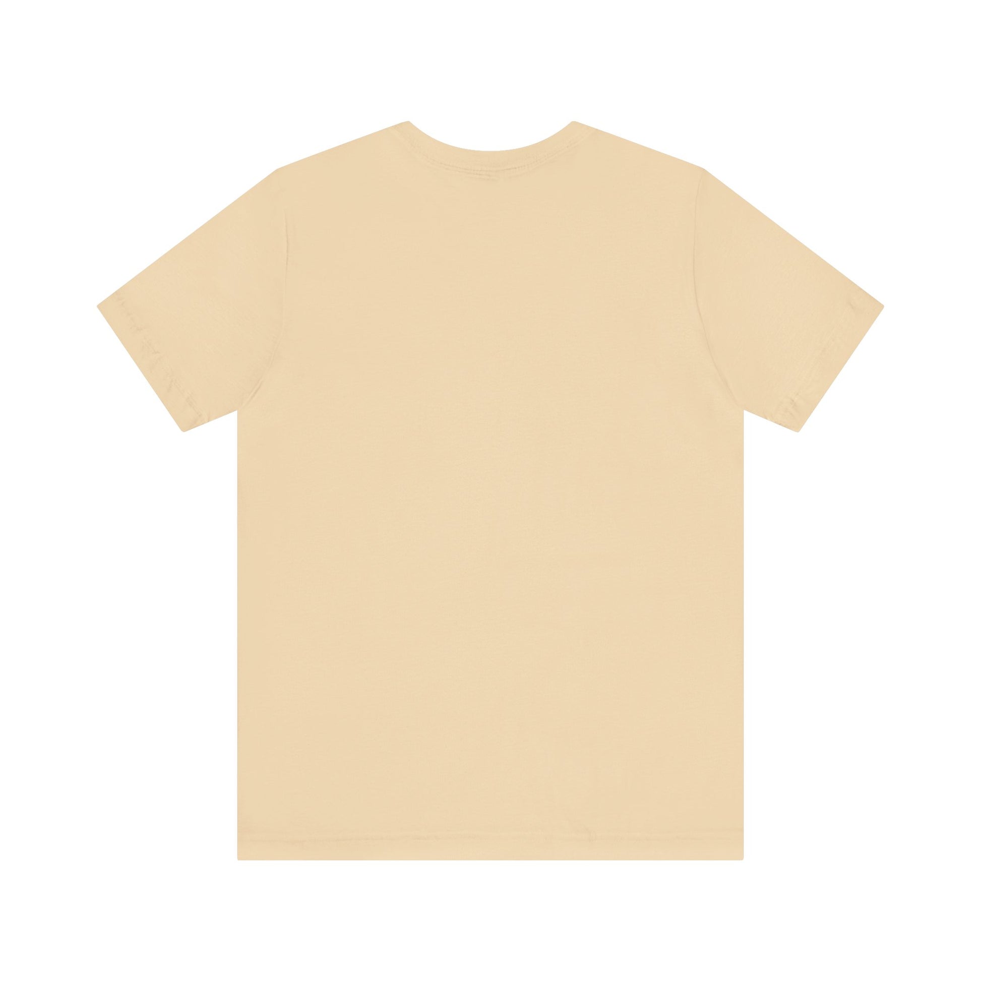 Airplane Mode Aviation Tee. gift for pilots. aviation lovers
