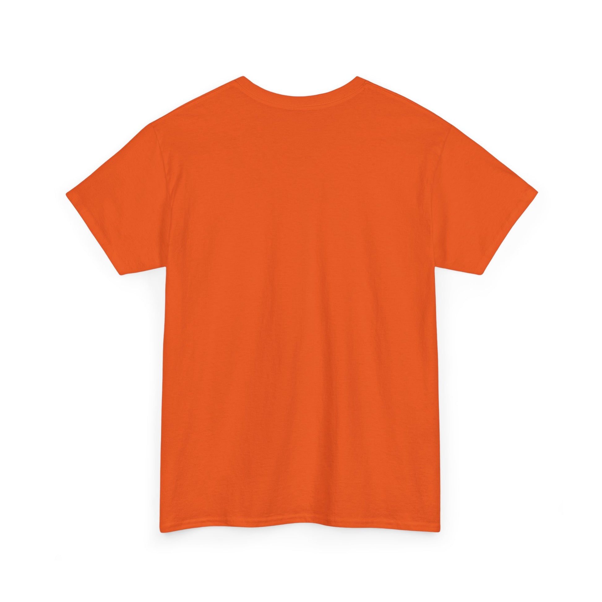 Airplane Mode Aviation Graphic Tee. gift for pilots. flight attendant. aviation lovers.