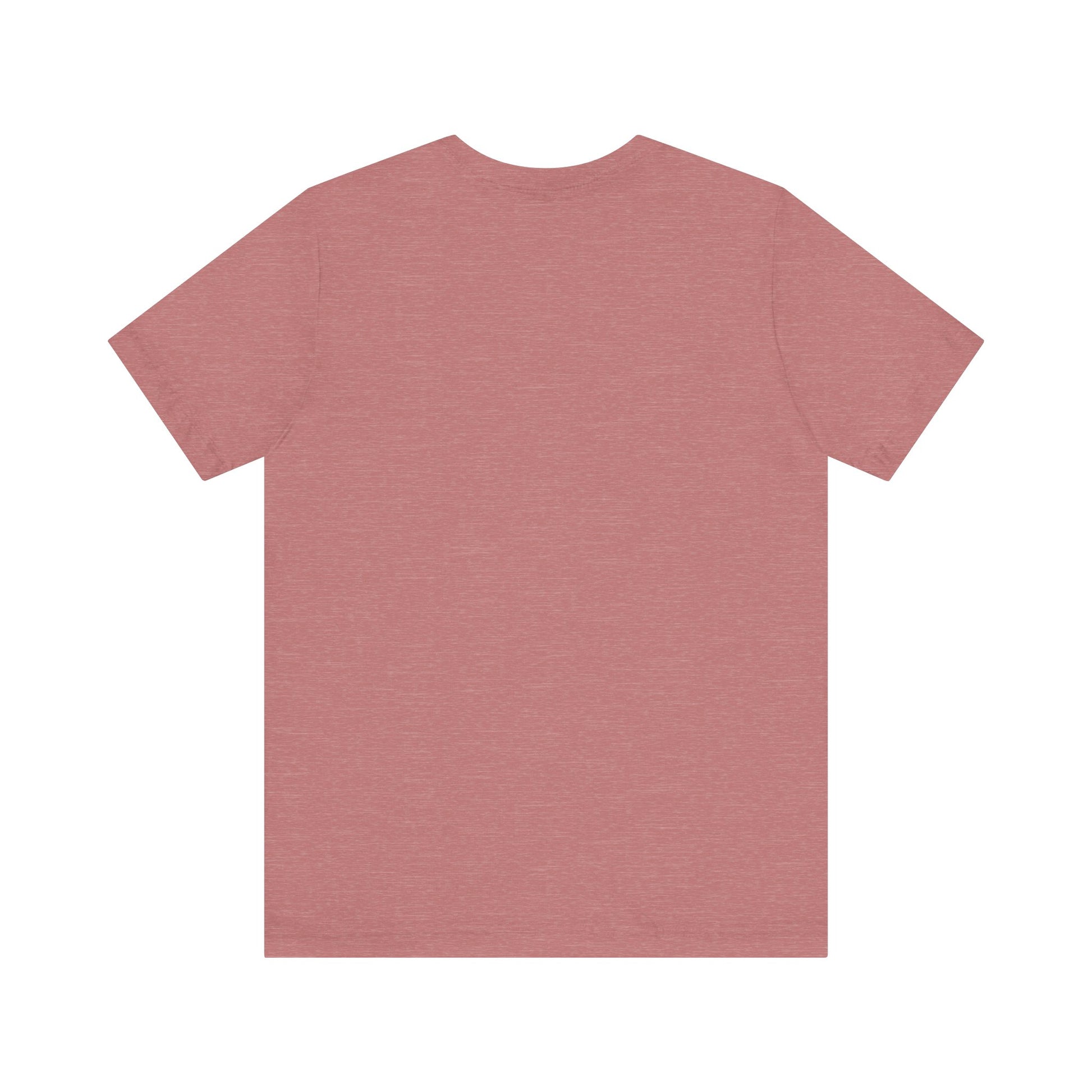 Airplane Mode Aviation Tee. gift for pilots. aviation lovers