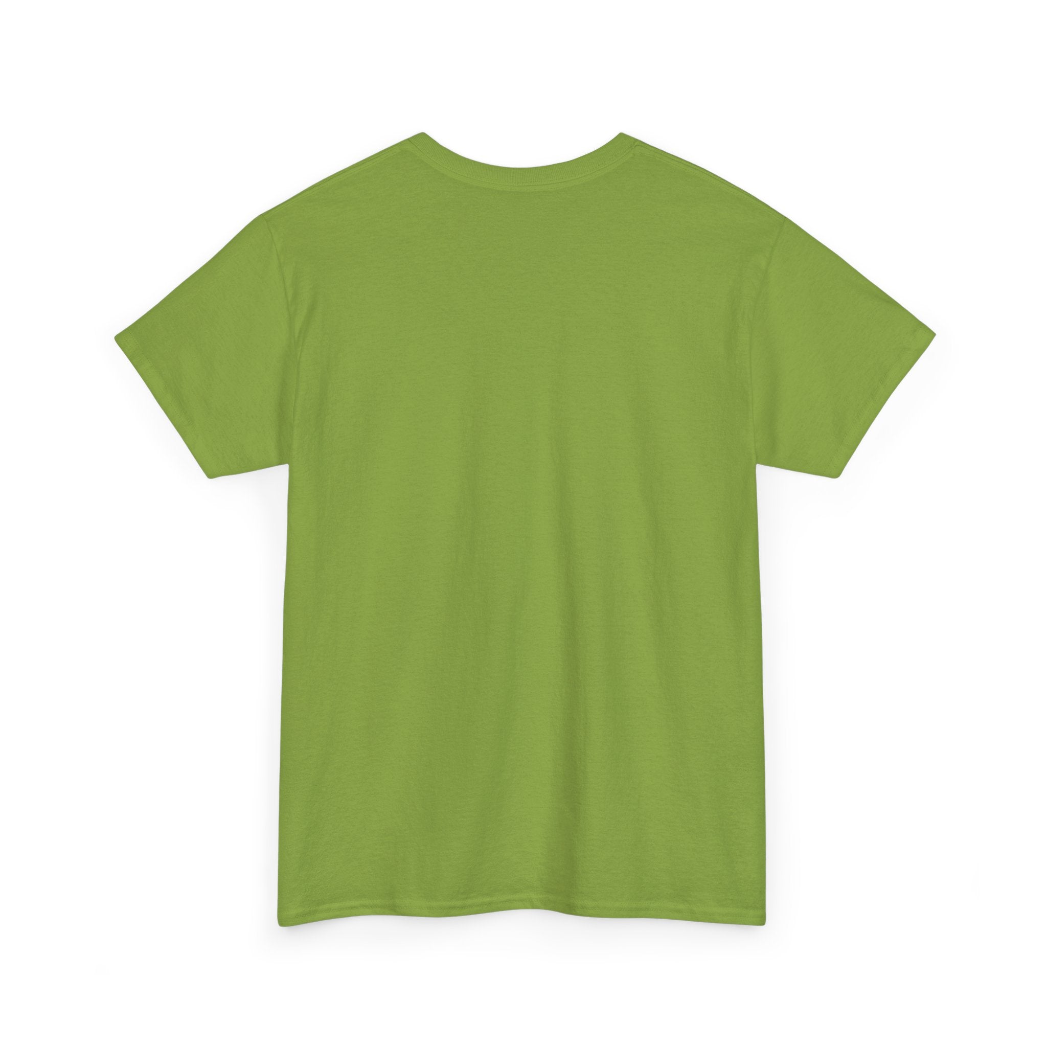 Airplane Mode Aviation Graphic Tee. gift for pilots. flight attendant. aviation lovers.