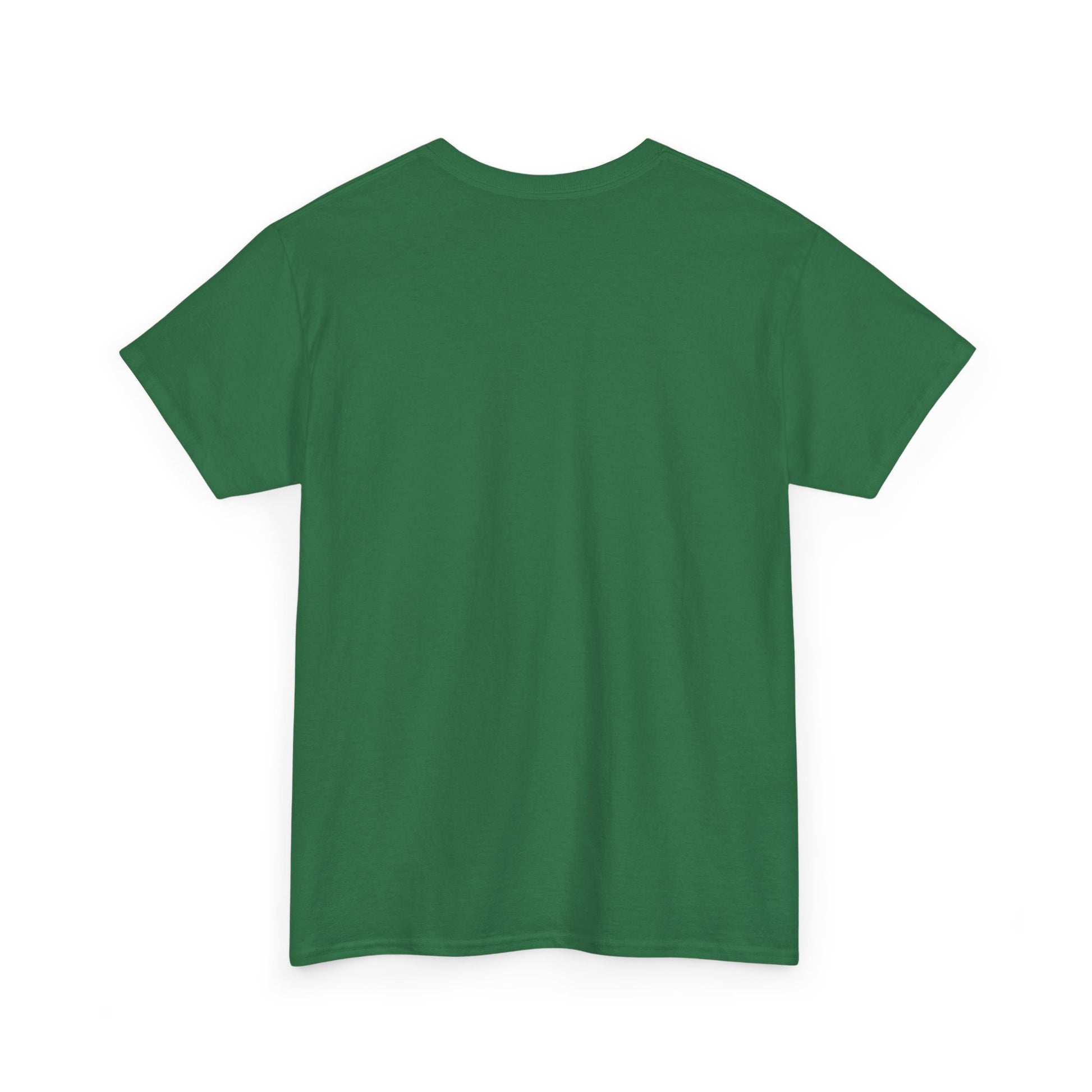 Airplane Mode Aviation Graphic Tee. gift for pilots. flight attendant. aviation lovers.