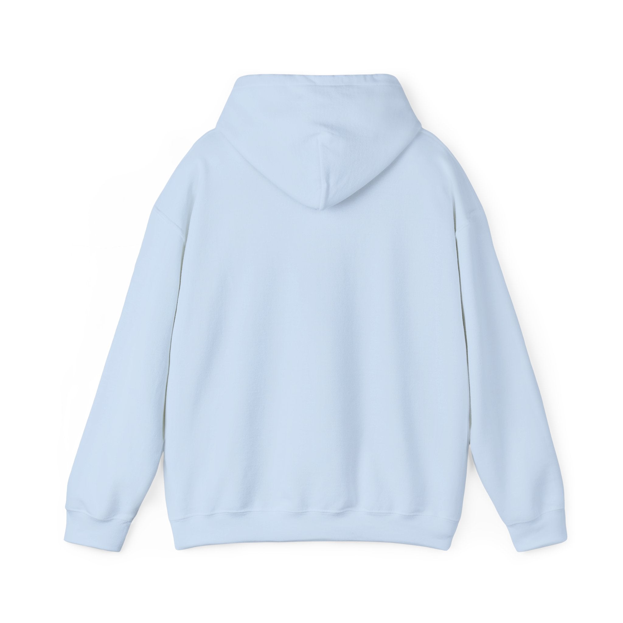 Globe Grid Hoodie - 'AST' Retro Orange Tech Logo