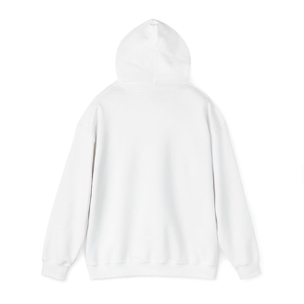 Turbulence in my hair, still don't CARE!. Aviation. gifts. pilots. planes. travel. graphic hoodie