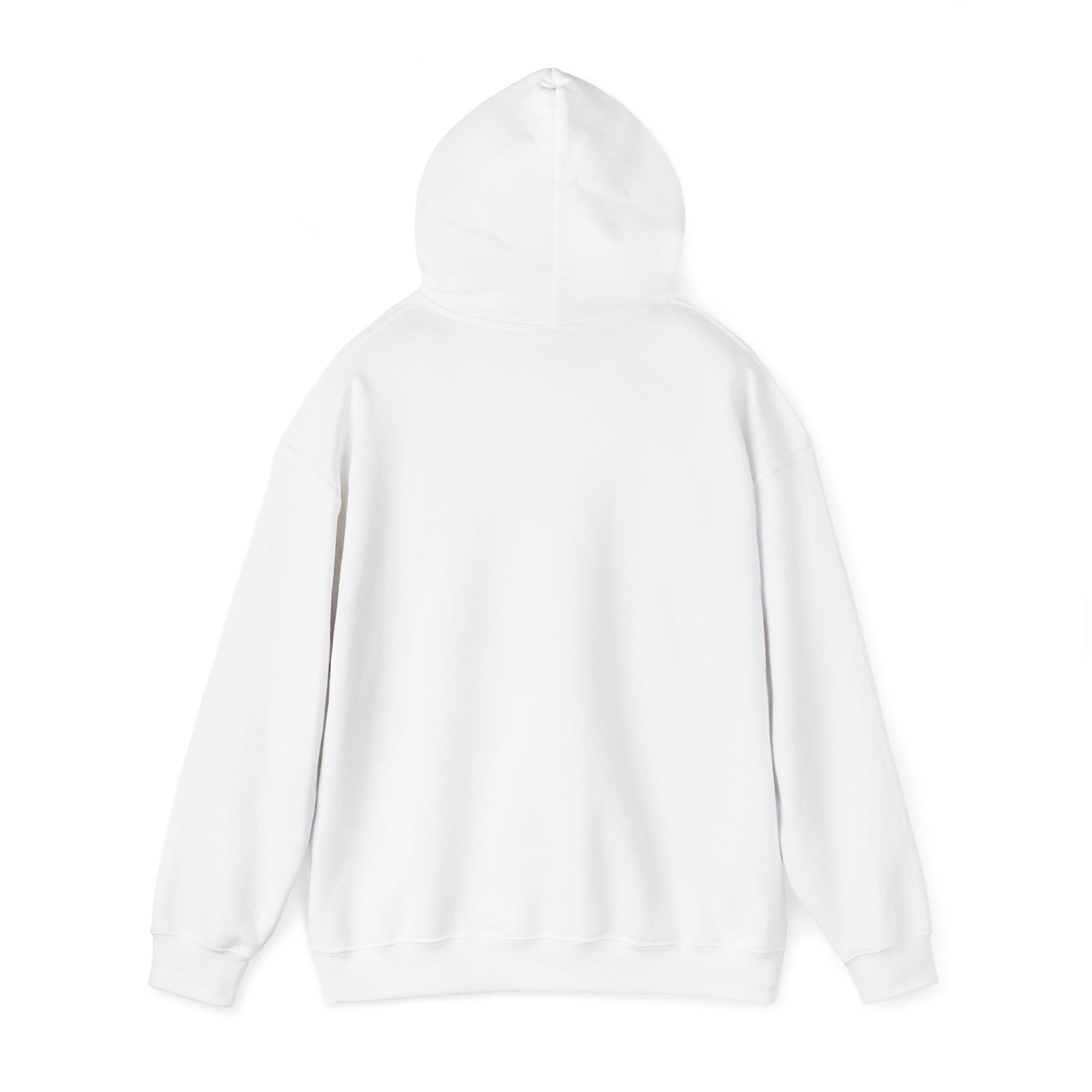 Turbulence in my hair, still don't CARE!. Aviation. gifts. pilots. planes. travel. graphic hoodie
