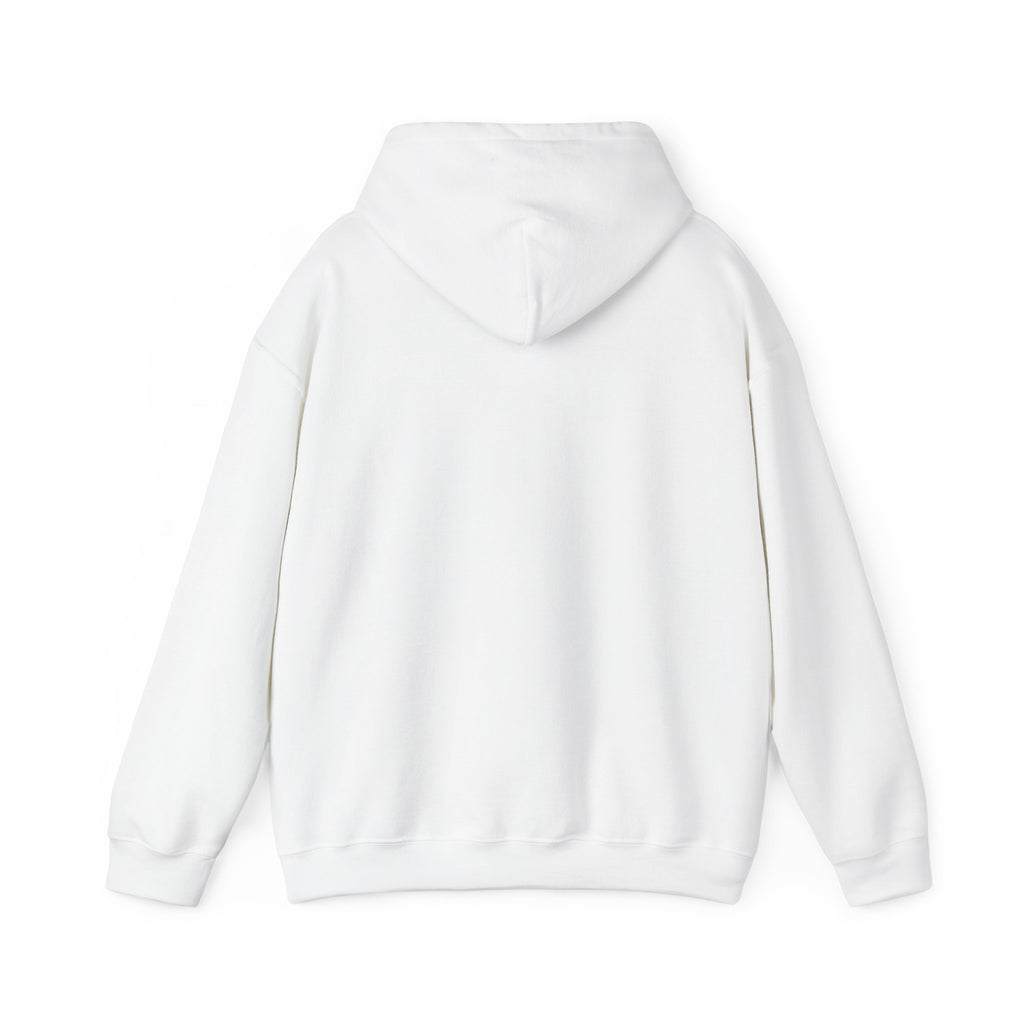 Hoodie — Cirrus Aircraft Logo Pullover