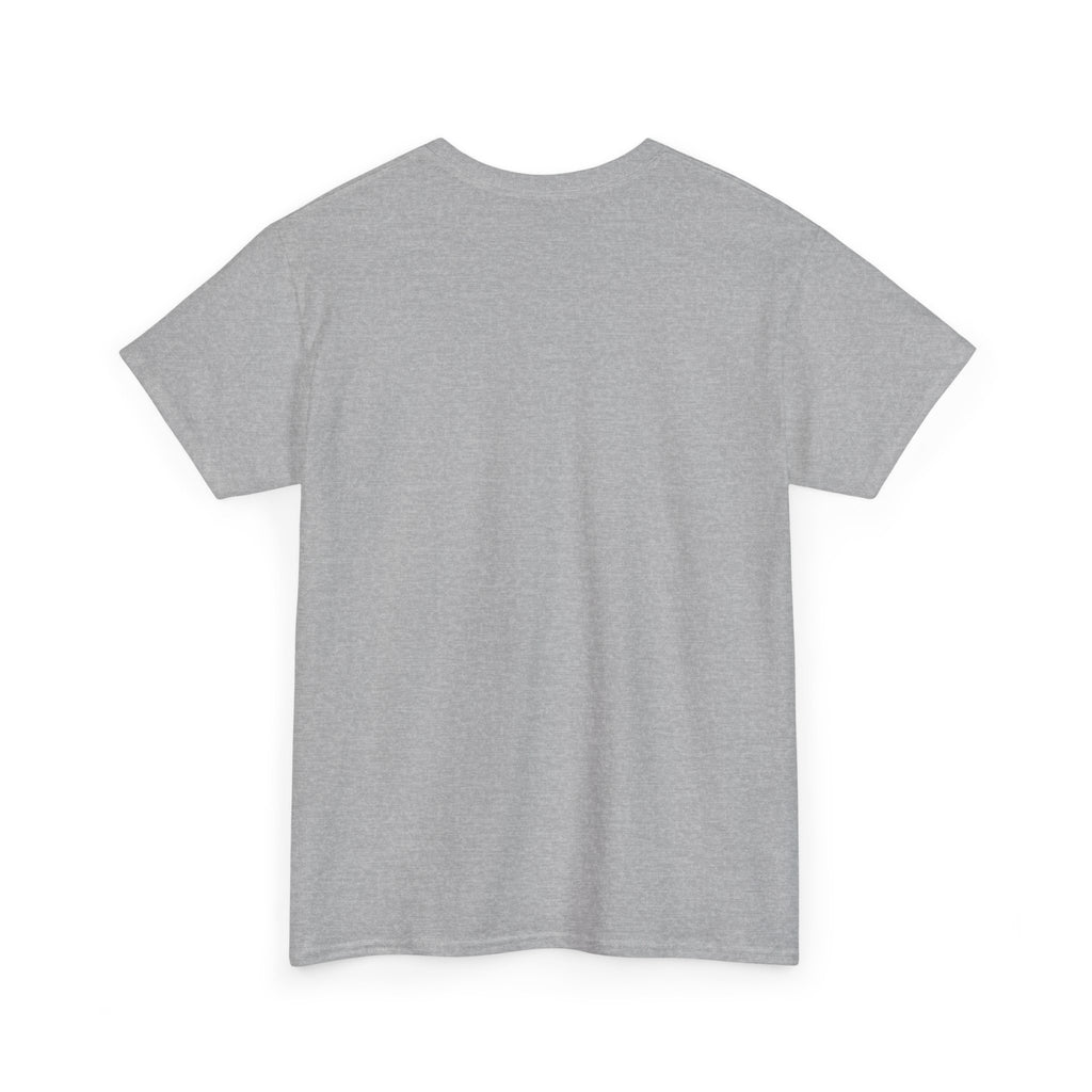 Airplane Mode Aviation Graphic Tee. gift for pilots. flight attendant. aviation lovers.