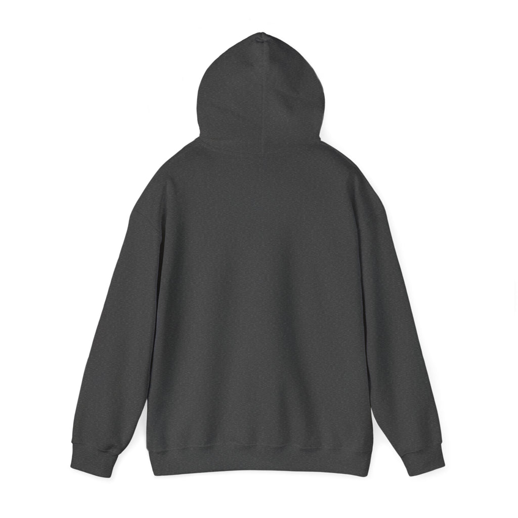 Turbulence in my hair, still don't CARE!. Aviation. gifts. pilots. planes. travel. graphic hoodie