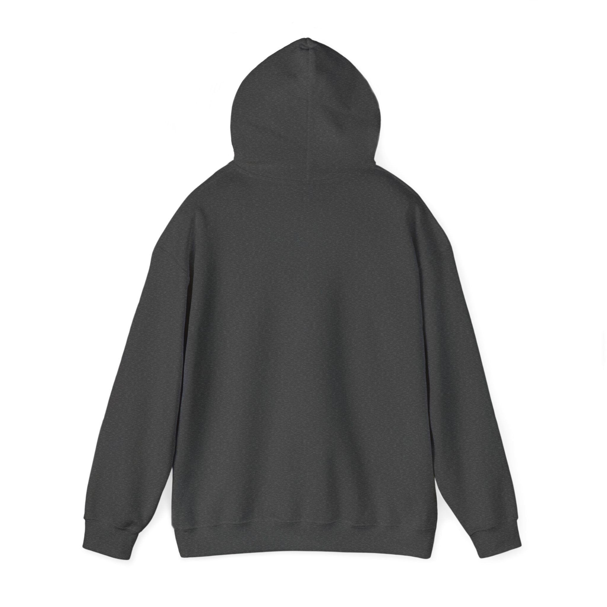 Turbulence in my hair, still don't CARE!. Aviation. gifts. pilots. planes. travel. graphic hoodie