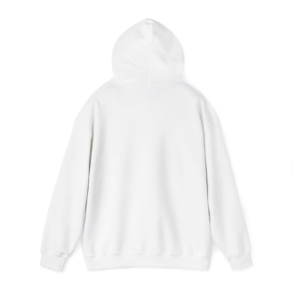 Hoodie — Cirrus Aircraft Logo Pullover