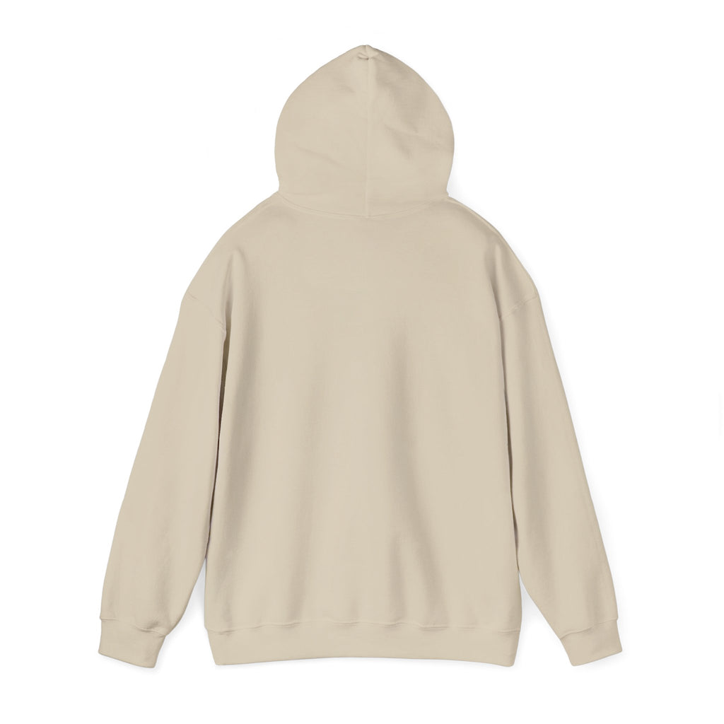 Hoodie — Cirrus Aircraft Logo Pullover