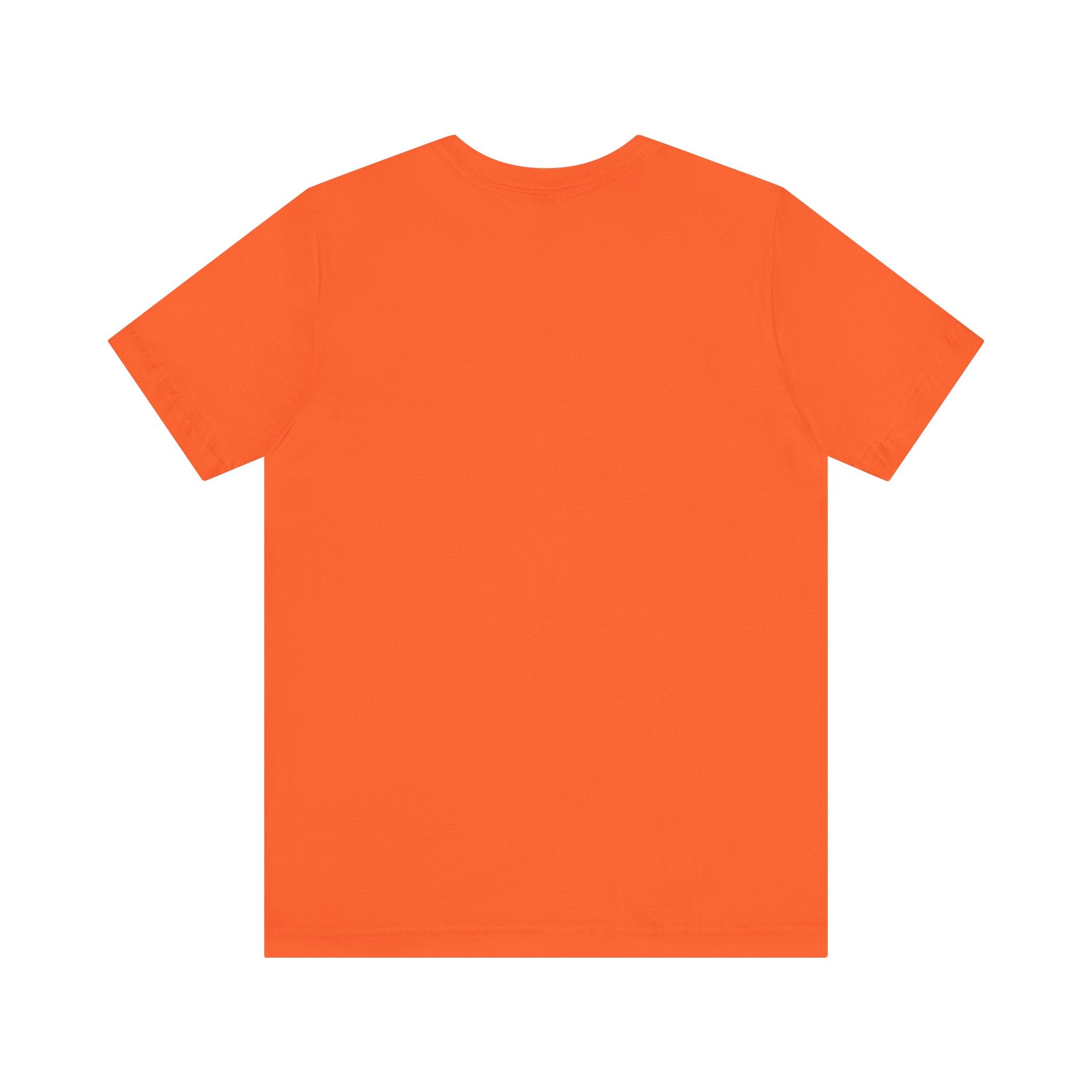 Airplane Mode Aviation Tee. gift for pilots. aviation lovers