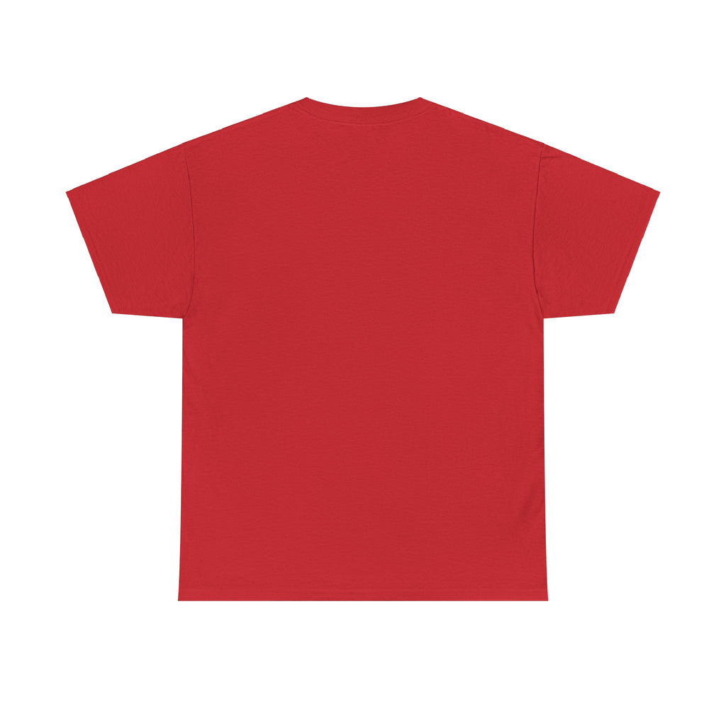 Airplane Mode Aviation Graphic Tee. gift for pilots. flight attendant. aviation lovers.