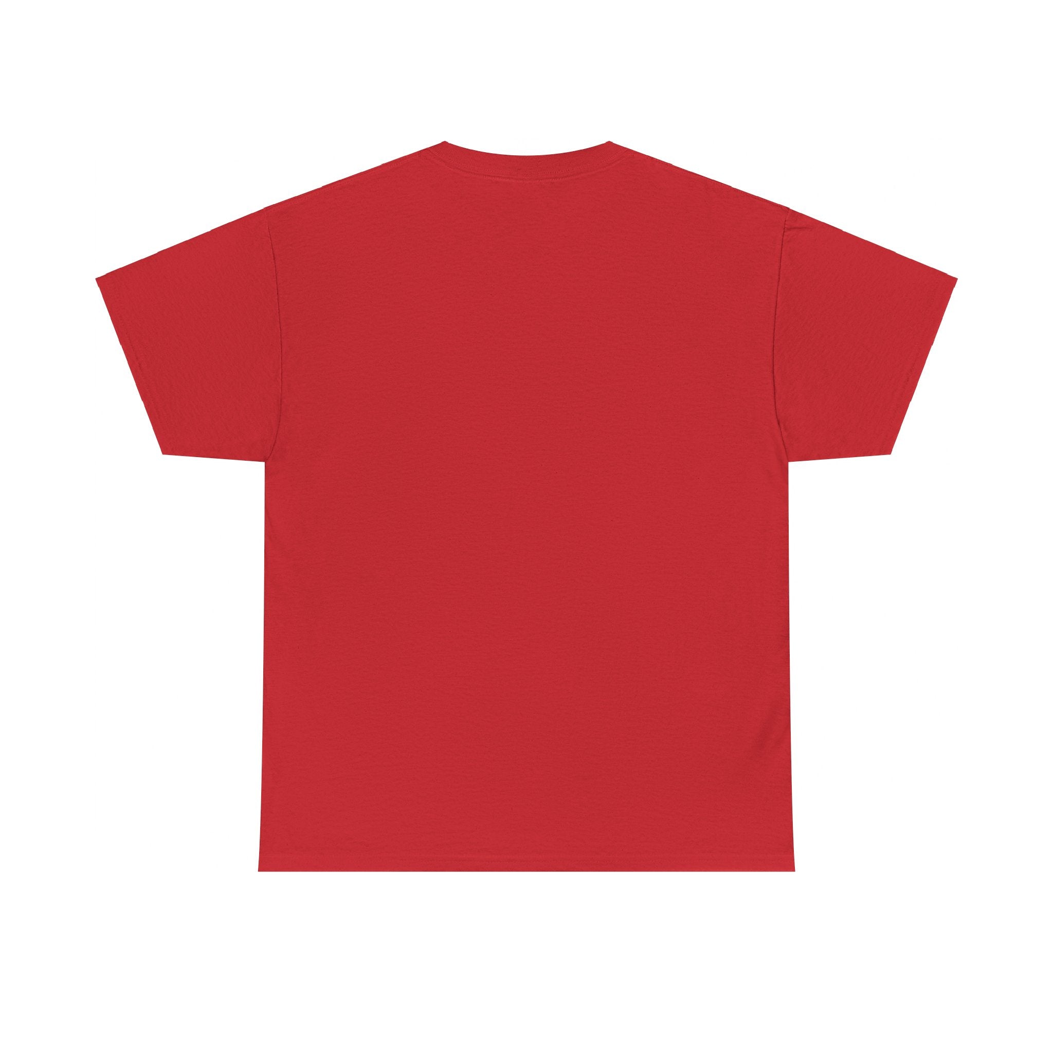 Airplane Mode Aviation Graphic Tee. gift for pilots. flight attendant. aviation lovers.