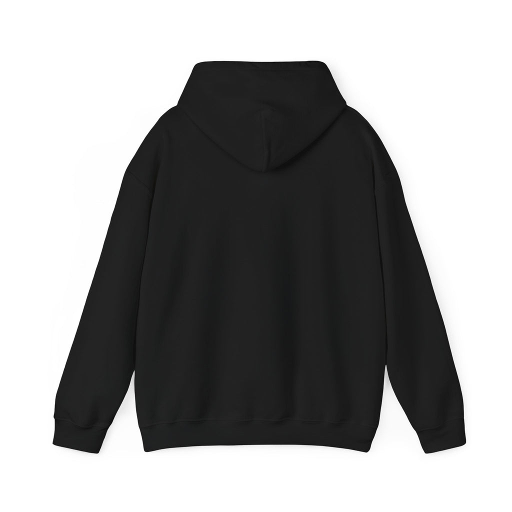 Turbulence in my hair, still don't CARE!. Aviation. gifts. pilots. planes. travel. graphic hoodie