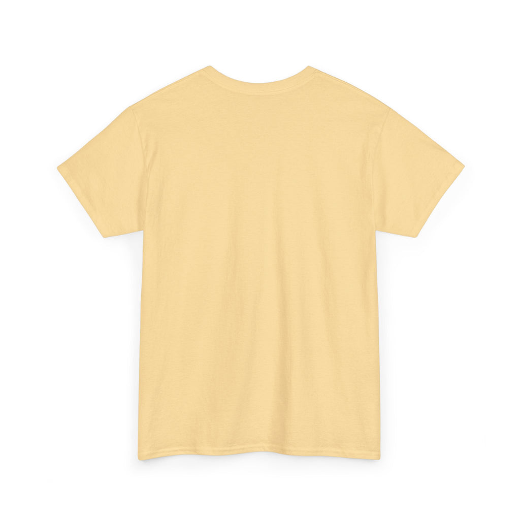 Airplane Mode Aviation Graphic Tee. gift for pilots. flight attendant. aviation lovers.