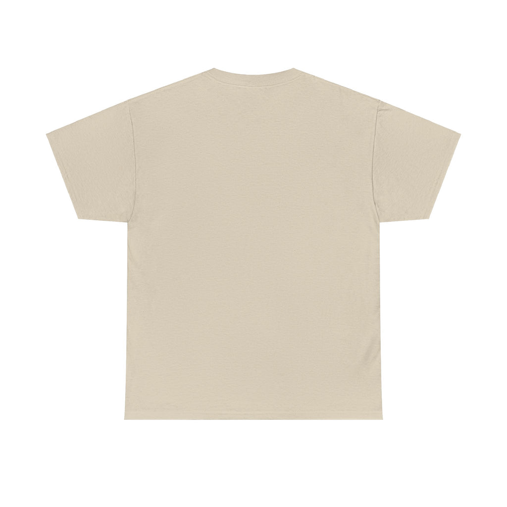 Airplane Mode Aviation Graphic Tee. gift for pilots. flight attendant. aviation lovers.