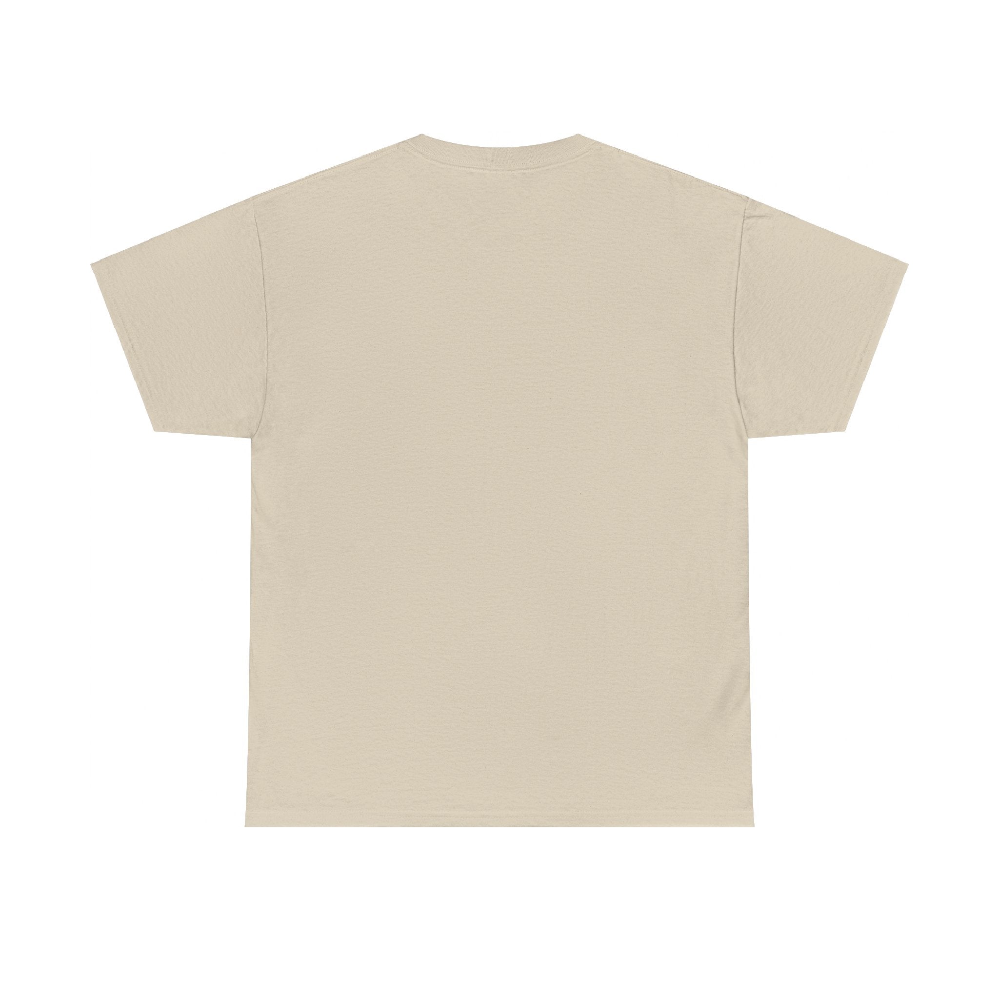 Airplane Mode Aviation Graphic Tee. gift for pilots. flight attendant. aviation lovers.