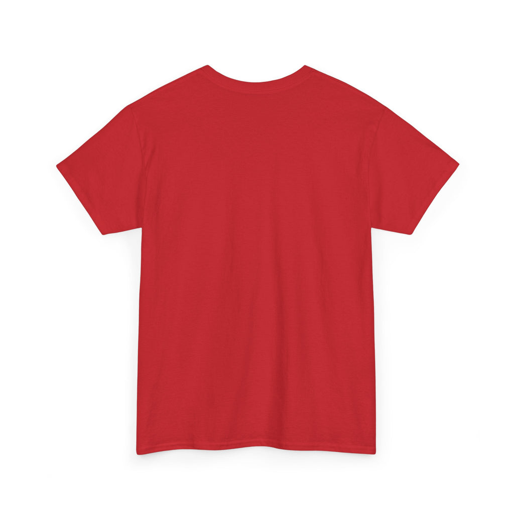Airplane Mode Aviation Graphic Tee. gift for pilots. flight attendant. aviation lovers.