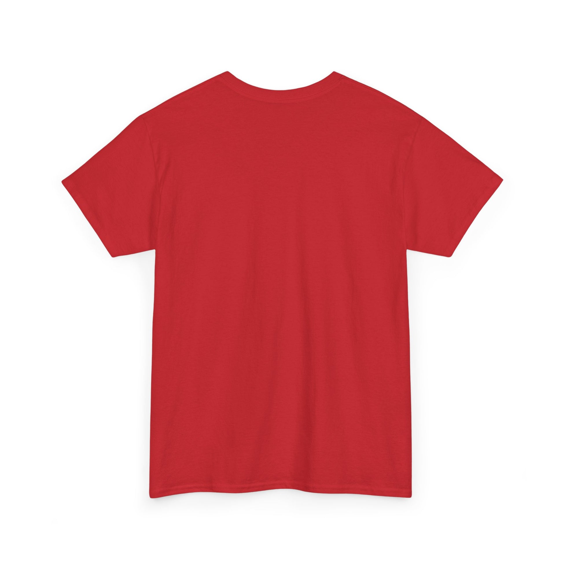 Airplane Mode Aviation Graphic Tee. gift for pilots. flight attendant. aviation lovers.