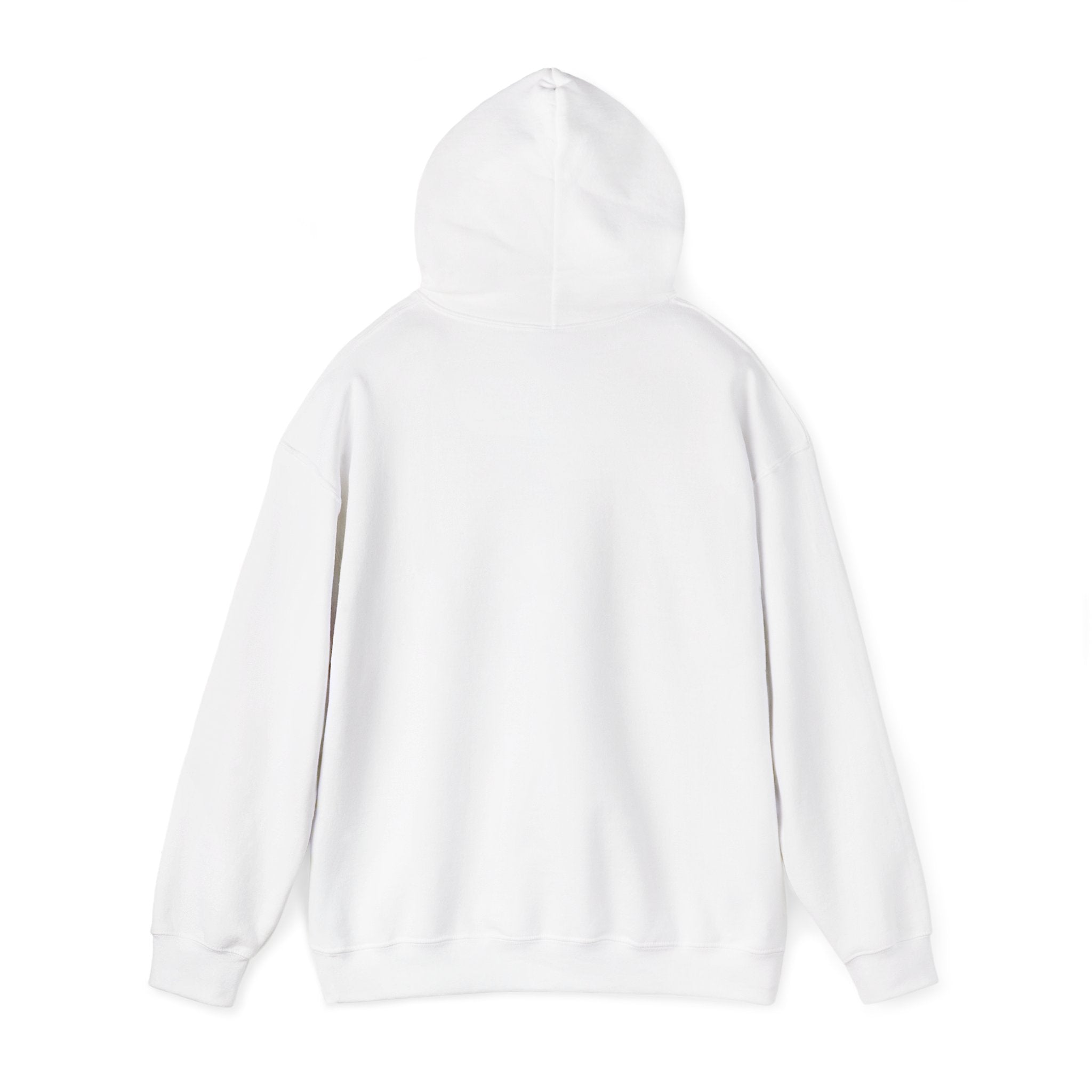Globe Grid Hoodie - 'AST' Retro Orange Tech Logo