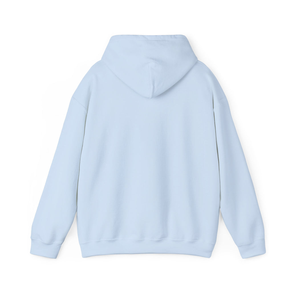 Hoodie — Cirrus Aircraft Logo Pullover