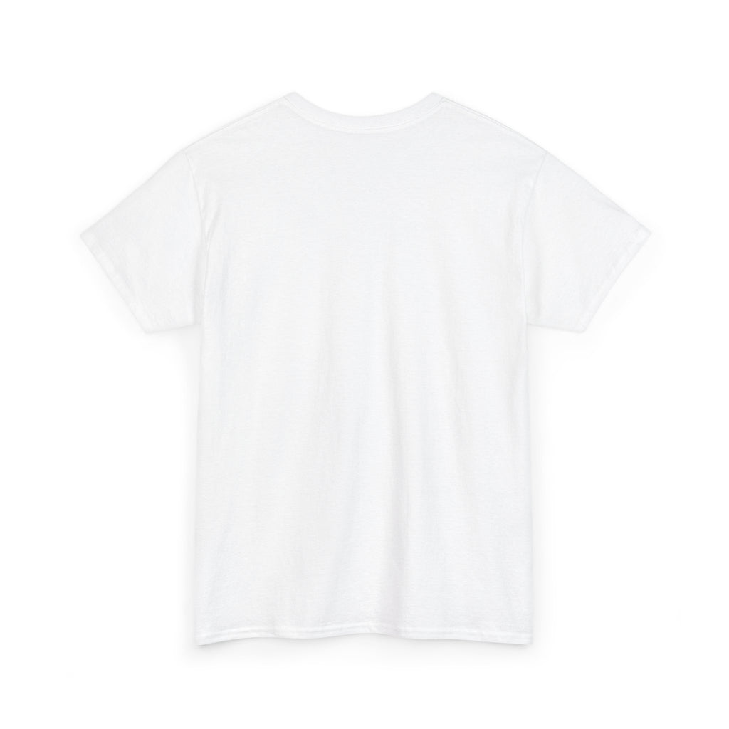 Airplane Mode Aviation Graphic Tee. gift for pilots. flight attendant. aviation lovers.