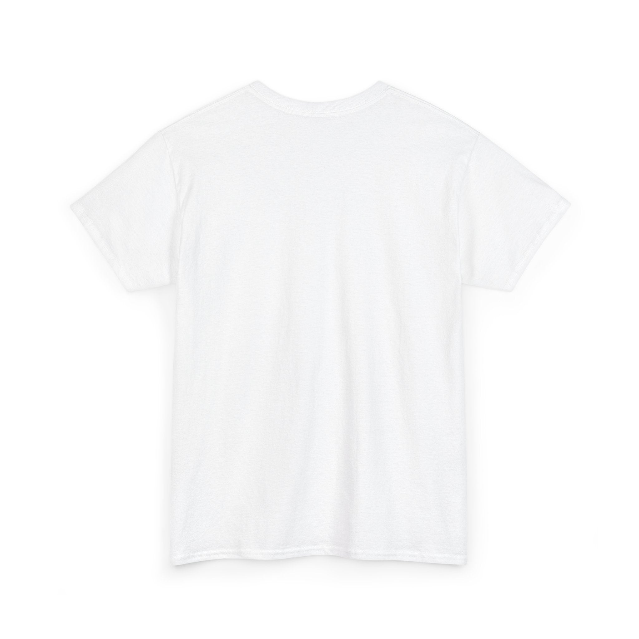 Airplane Mode Aviation Graphic Tee. gift for pilots. flight attendant. aviation lovers.