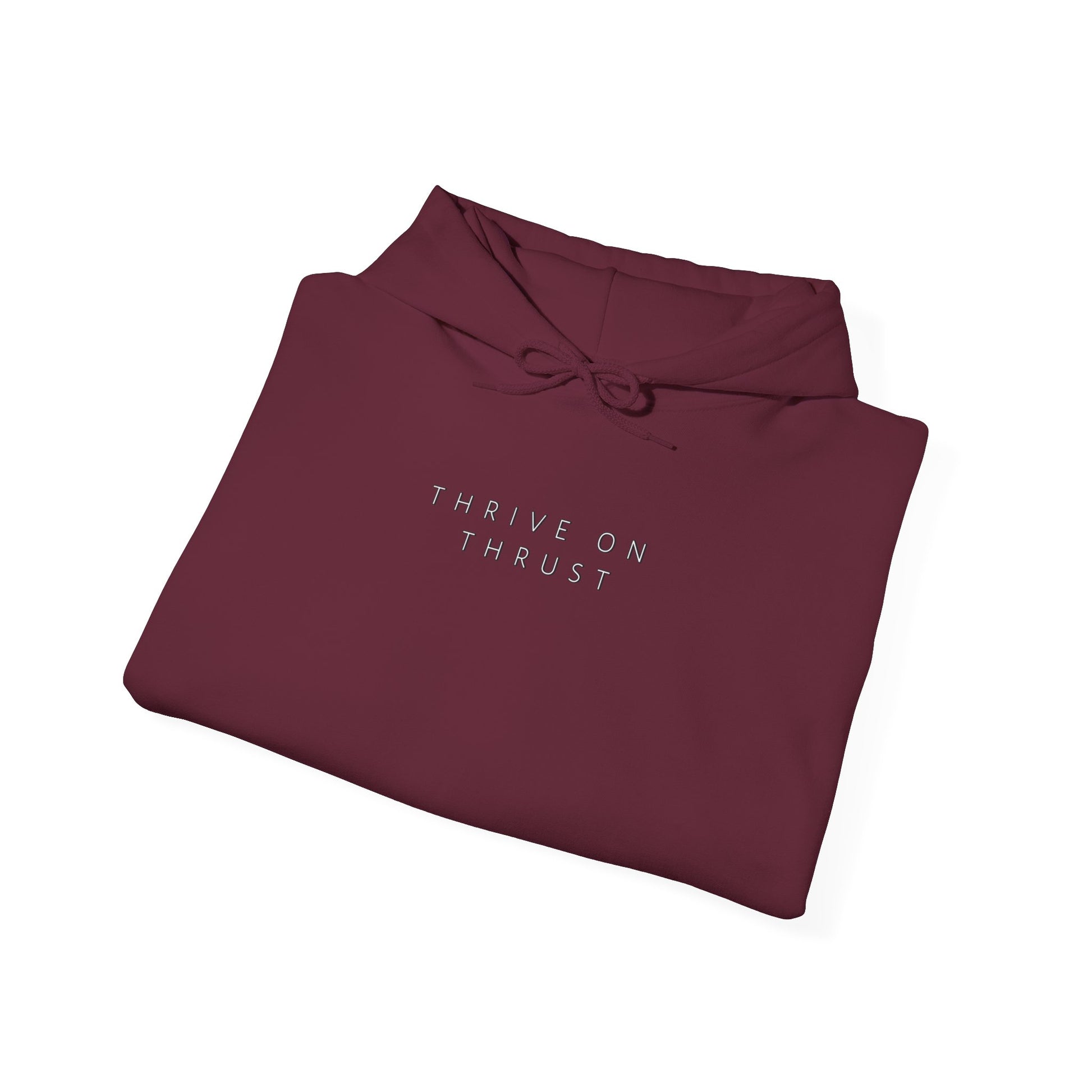 Thrive on Thrust. aviation. gifts for pilots. pilots. planes. gift aviation. graphic hoodie