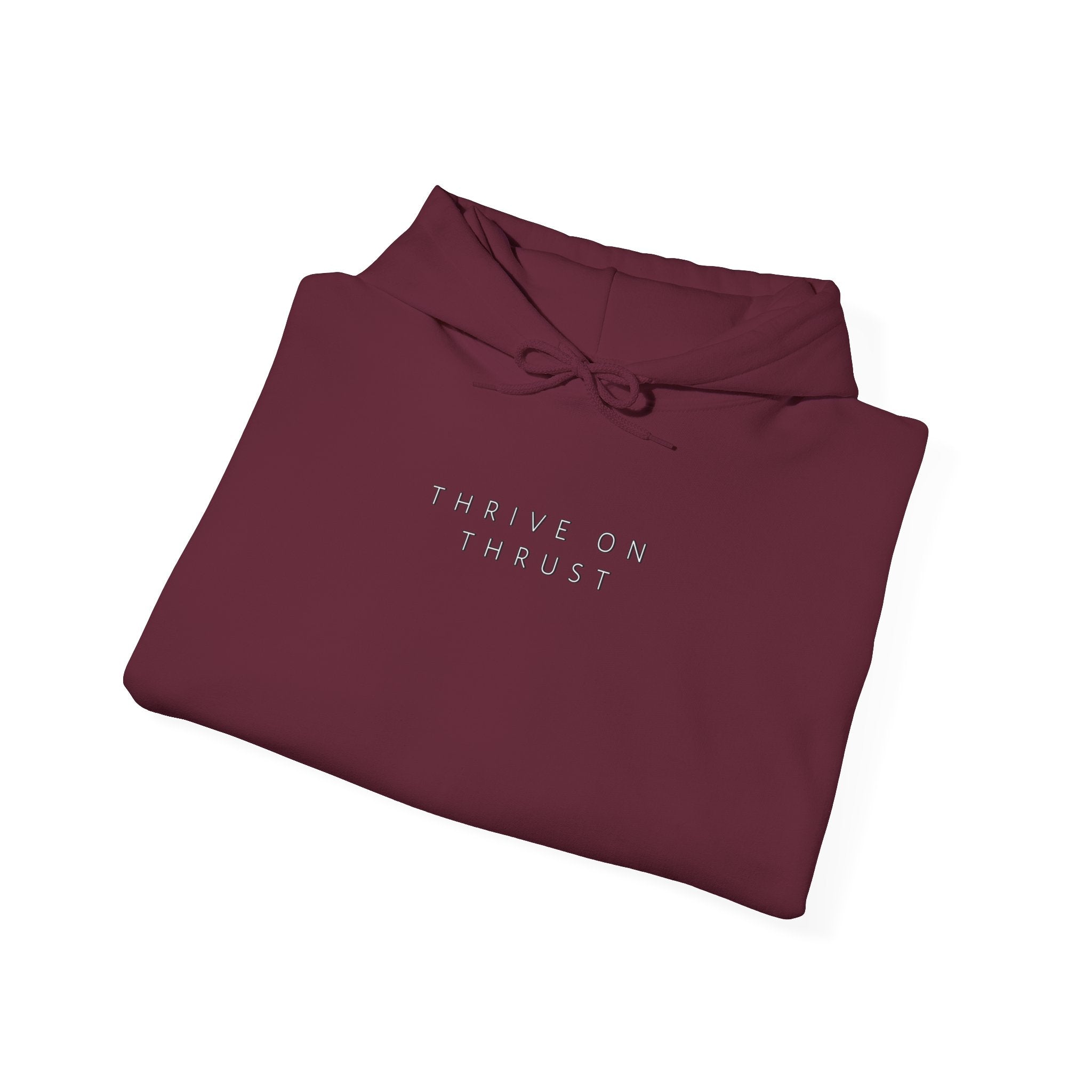 Thrive on Thrust. aviation. gifts for pilots. pilots. planes. gift aviation. graphic hoodie