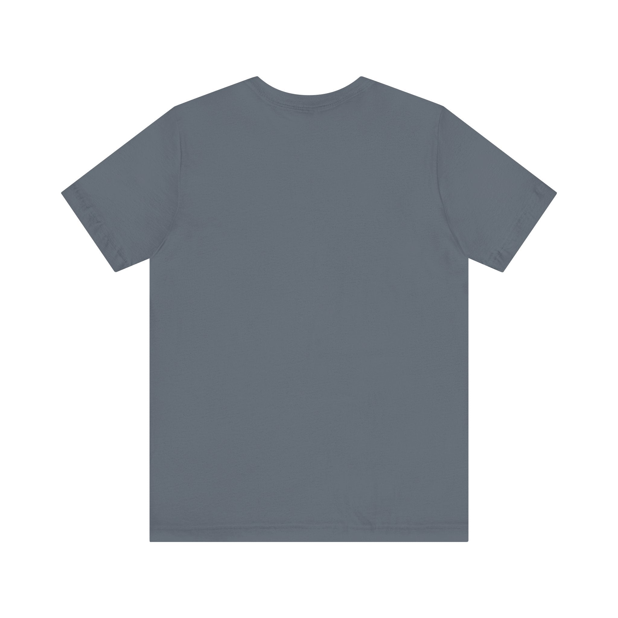 Airplane Mode Aviation Tee. gift for pilots. aviation lovers