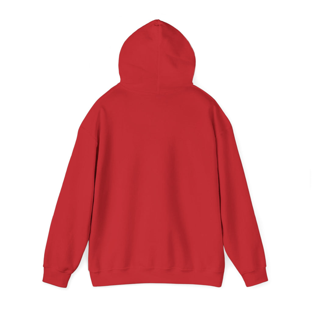 Hoodie — Cirrus Aircraft Logo Pullover