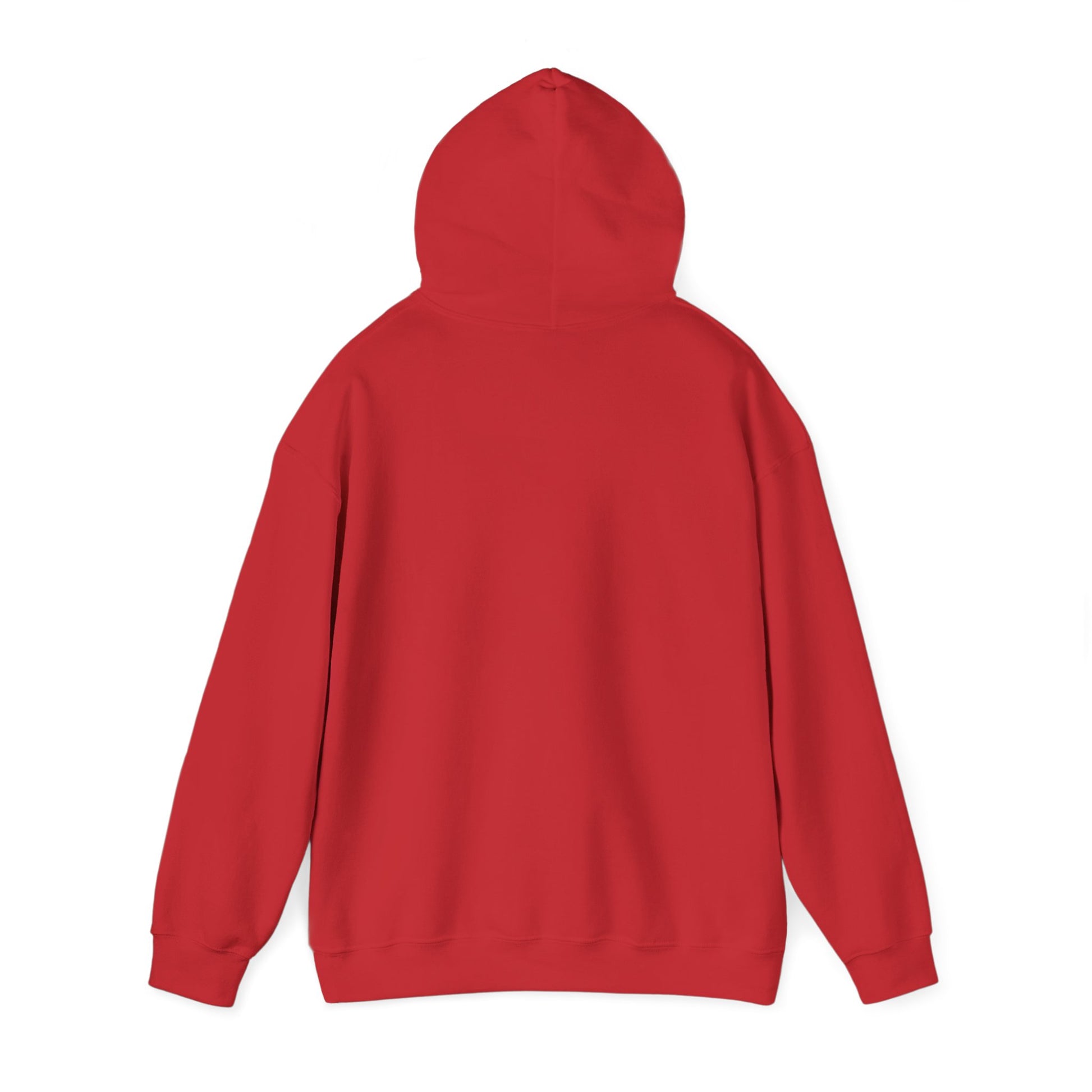 Hoodie — Cirrus Aircraft Logo Pullover