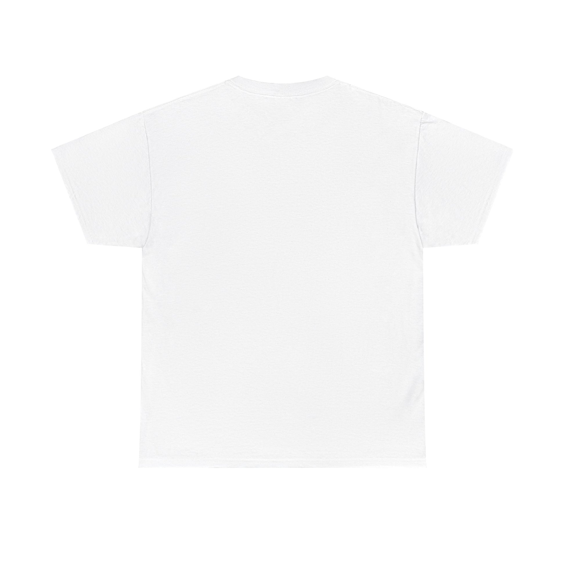 Airplane Mode Aviation Graphic Tee. gift for pilots. flight attendant. aviation lovers.